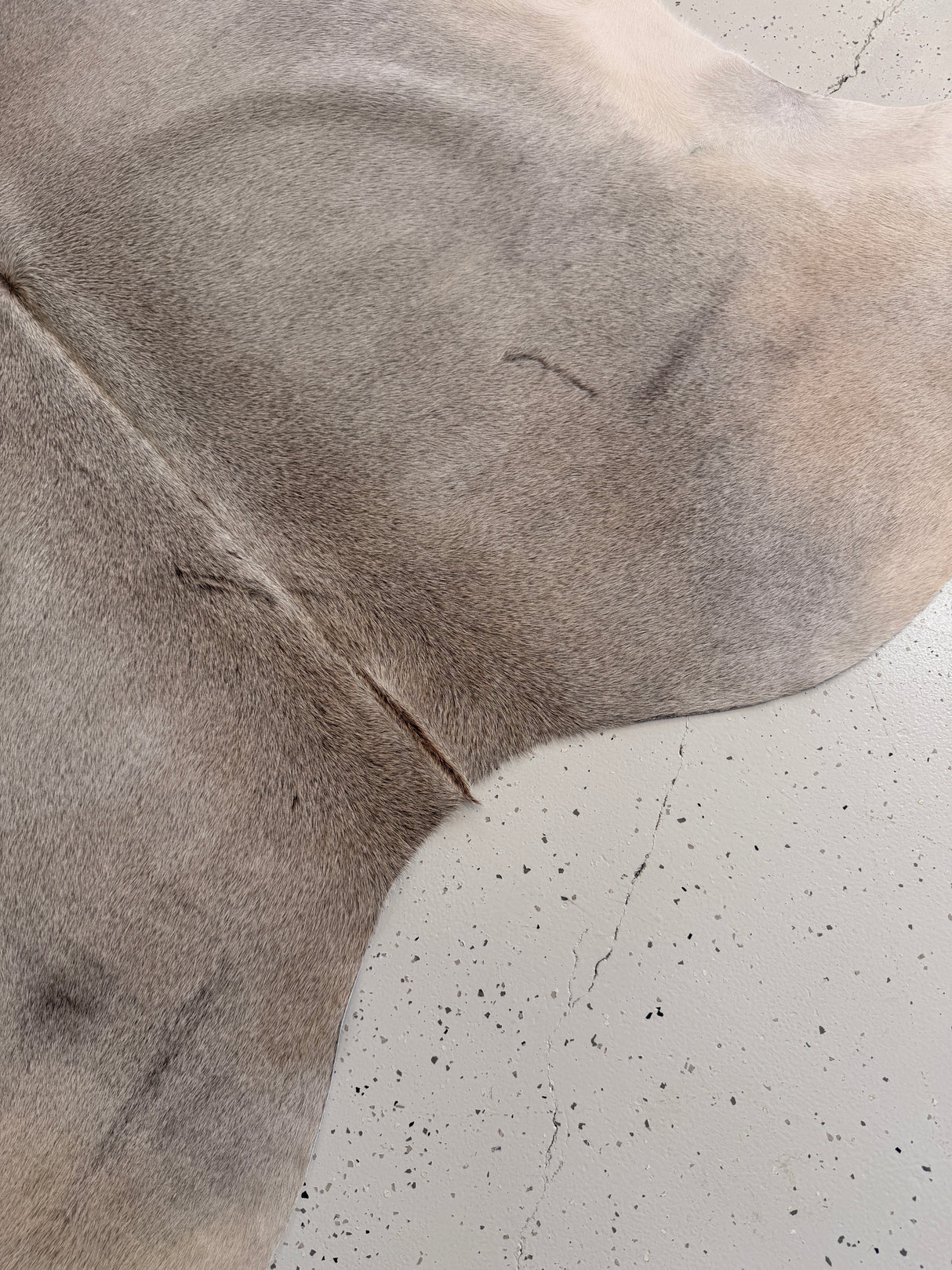 Genuine Cowhide Floor Rug 957