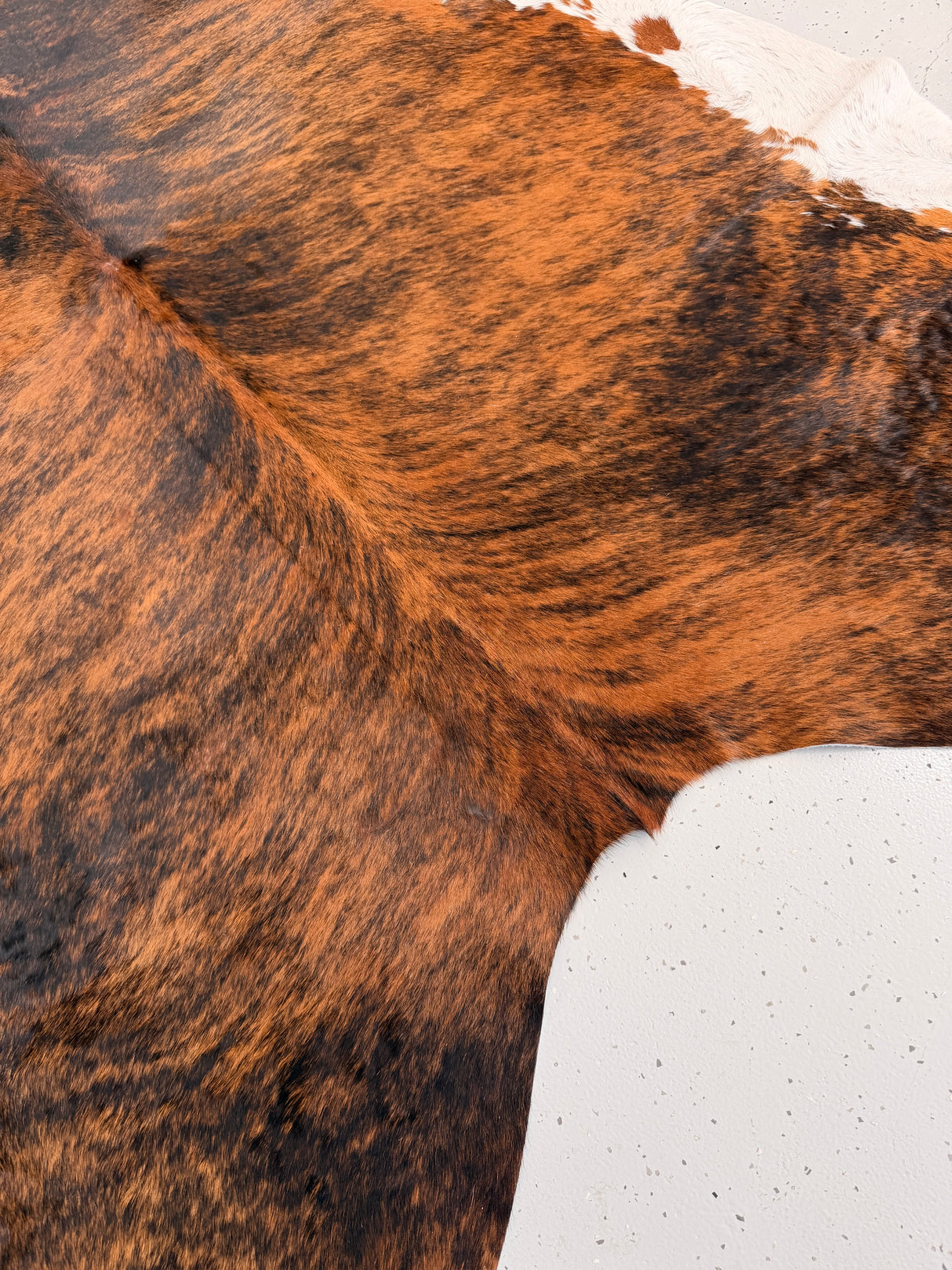 Genuine Cowhide Floor Rug 971