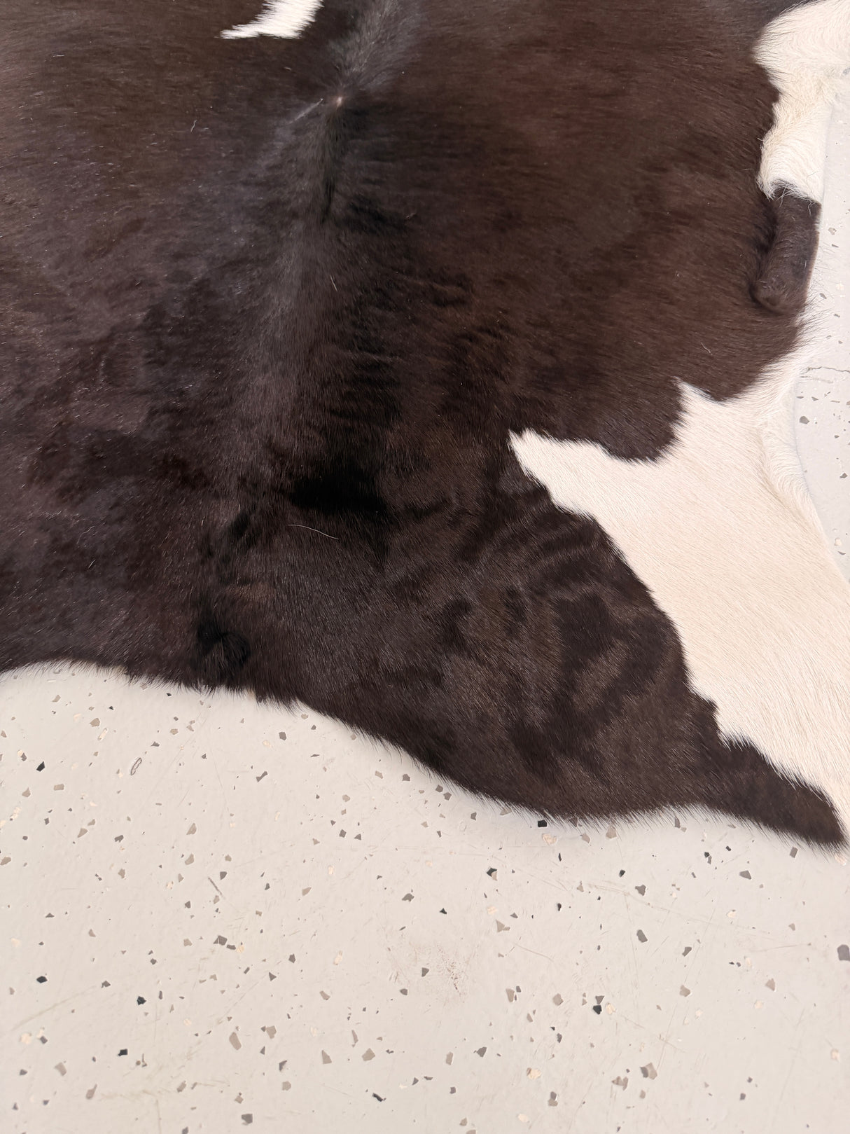 PROMO Calf Hide Floor Rug - 003