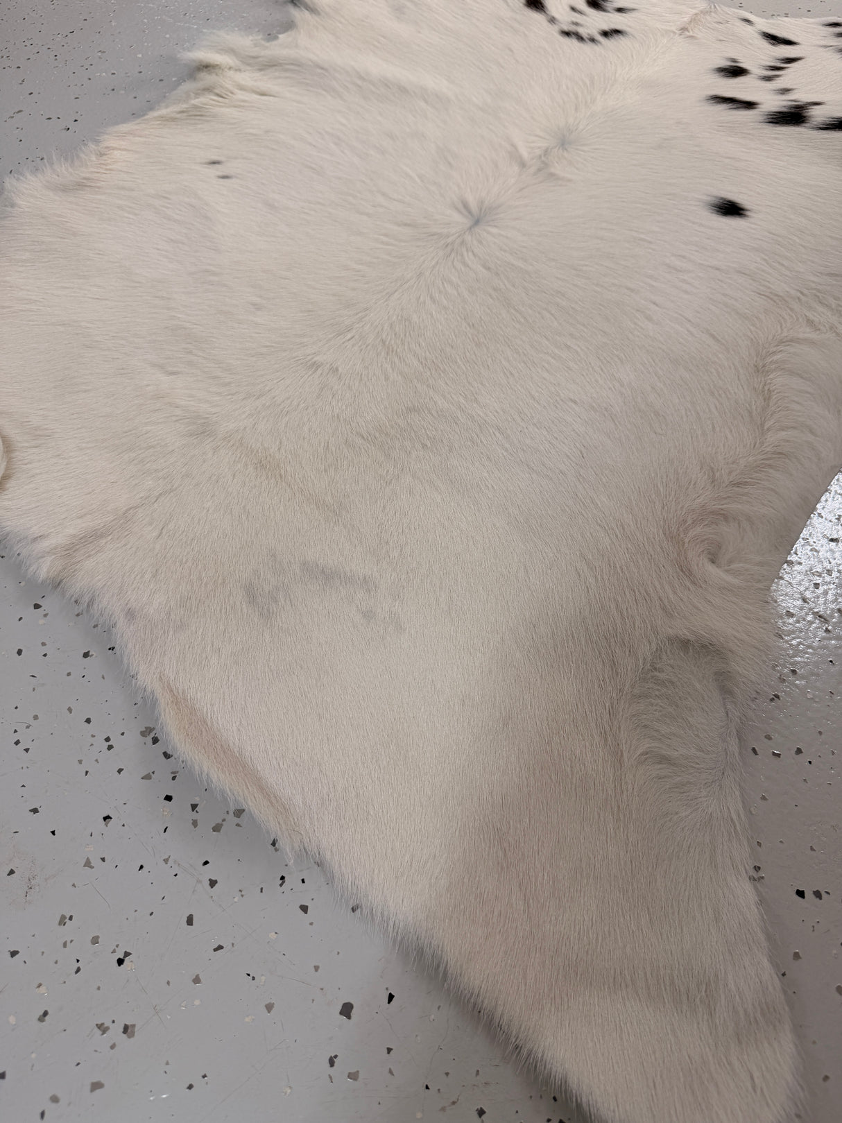 PROMO Calf Hide Floor Rug - 022