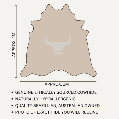 Genuine Cowhide Floor Rug 082