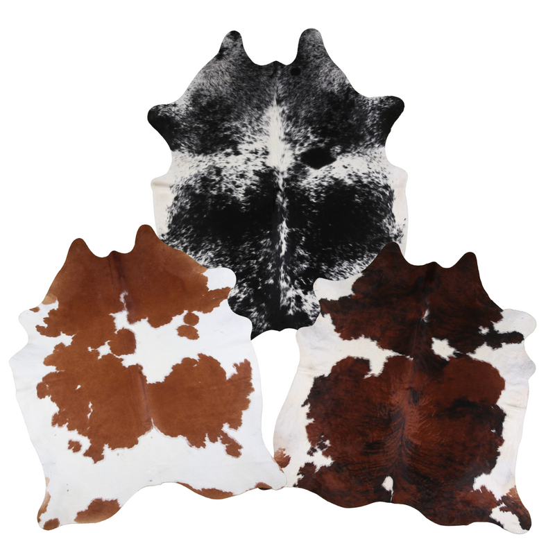 Untitled design (13).png__PID:afc9efed-15e0-4c8f-baa7-69d5bf9cc448