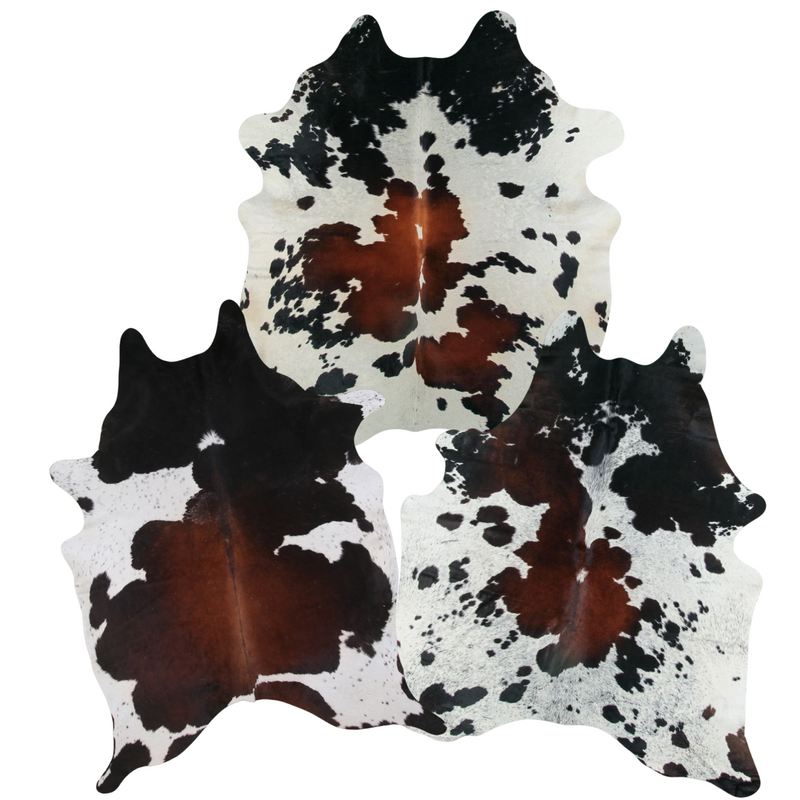 Untitled design (19).png__PID:fafcff4e-c6d7-48a7-8094-913bc82048e7