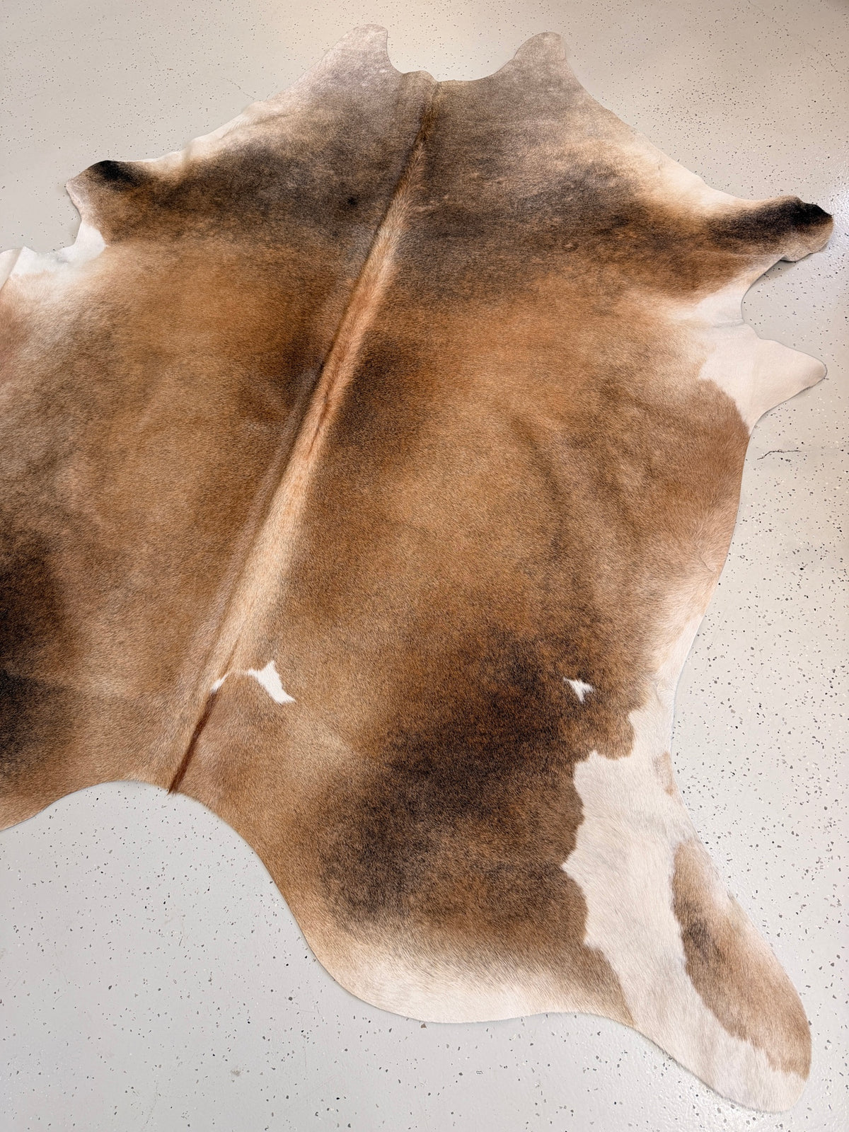Beige Cowhide Rug, hide #004, 203 x 242cm
