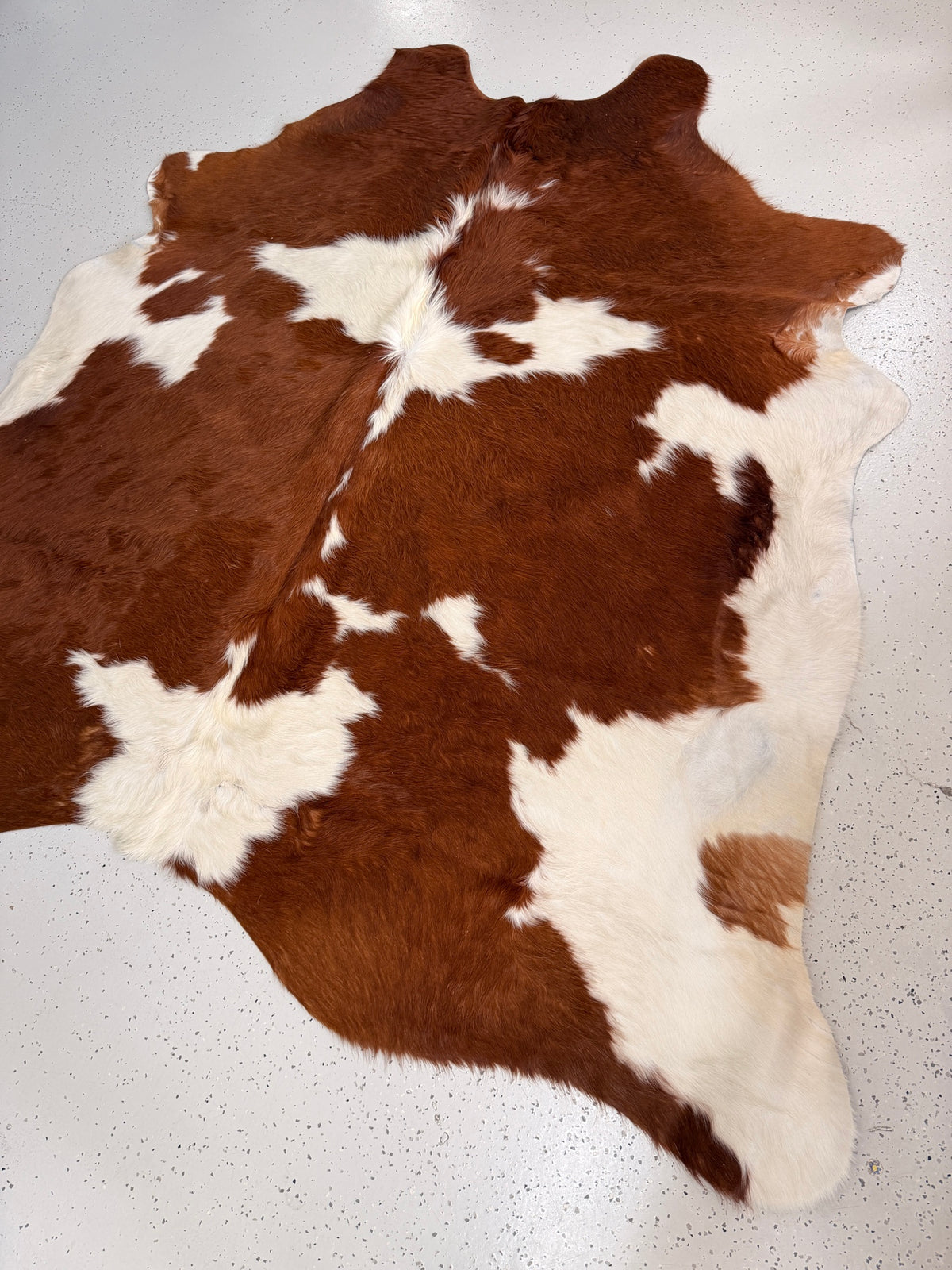 Brown and White Cowhide Rug, hide #306, 205 x 214cm