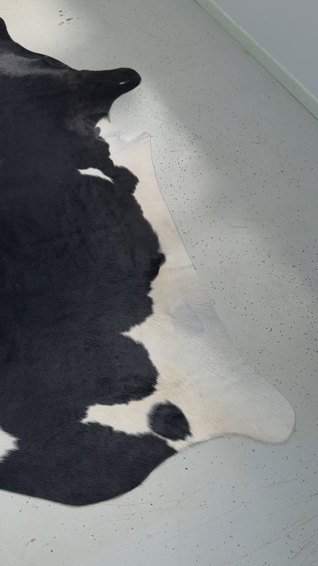 Genuine Cowhide Floor Rug 47