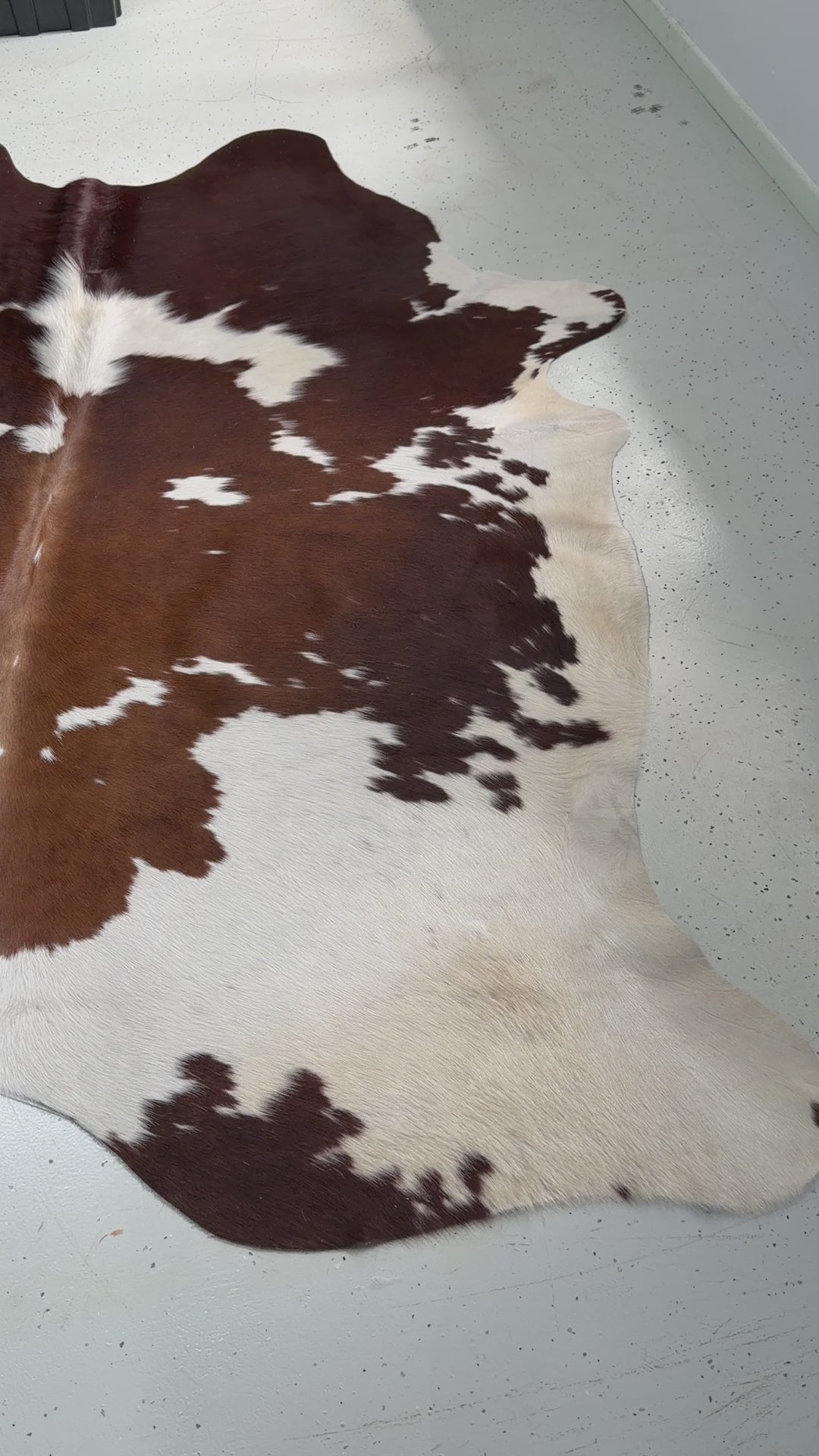 Genuine Cowhide Floor Rug 20