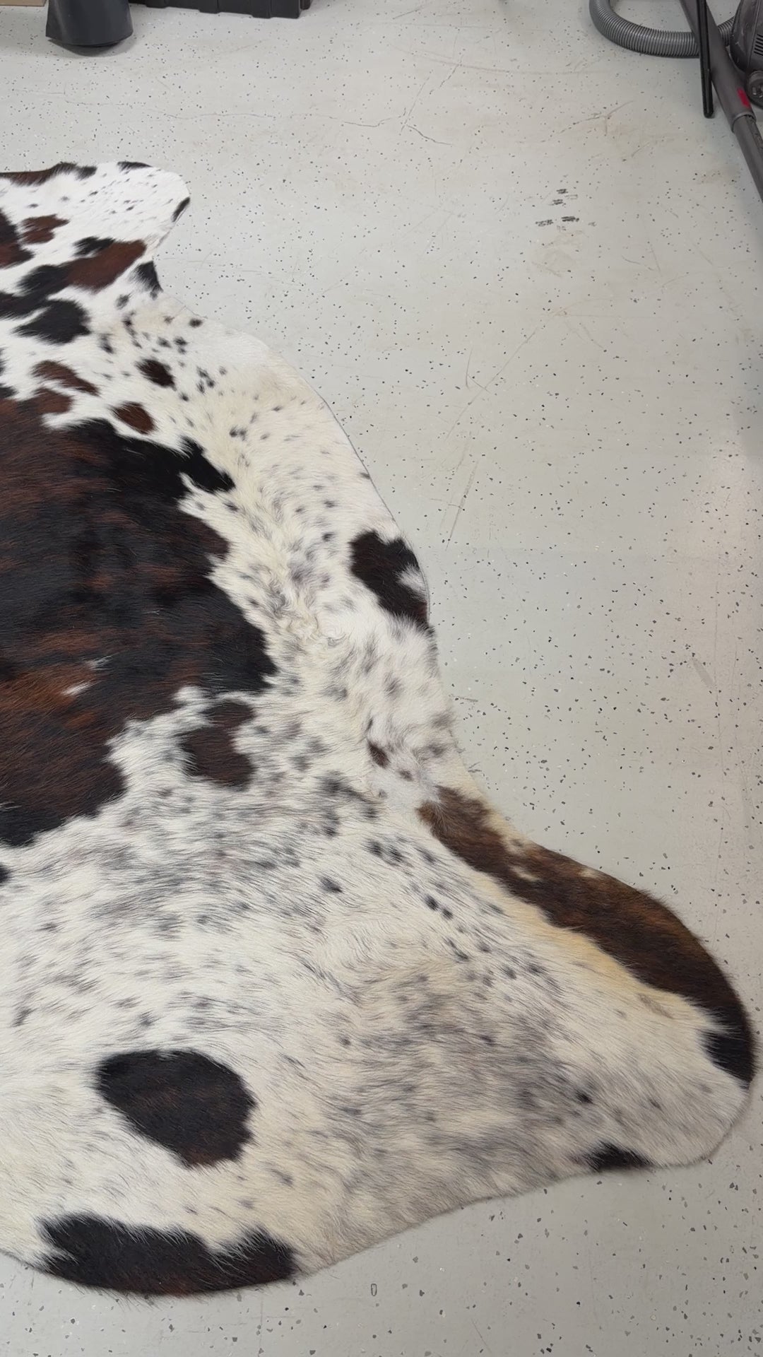 Genuine Cowhide Floor Rug 252