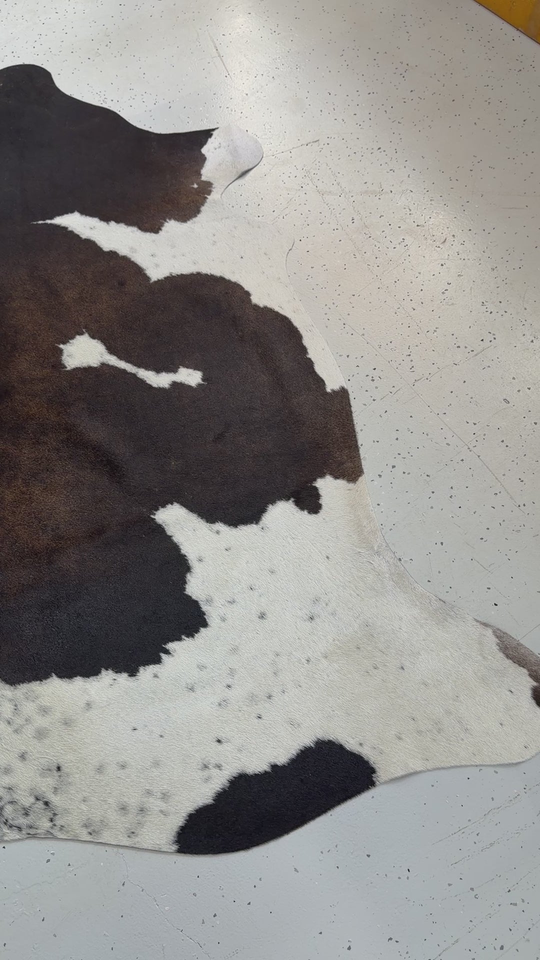 Genuine Cowhide Floor Rug 204