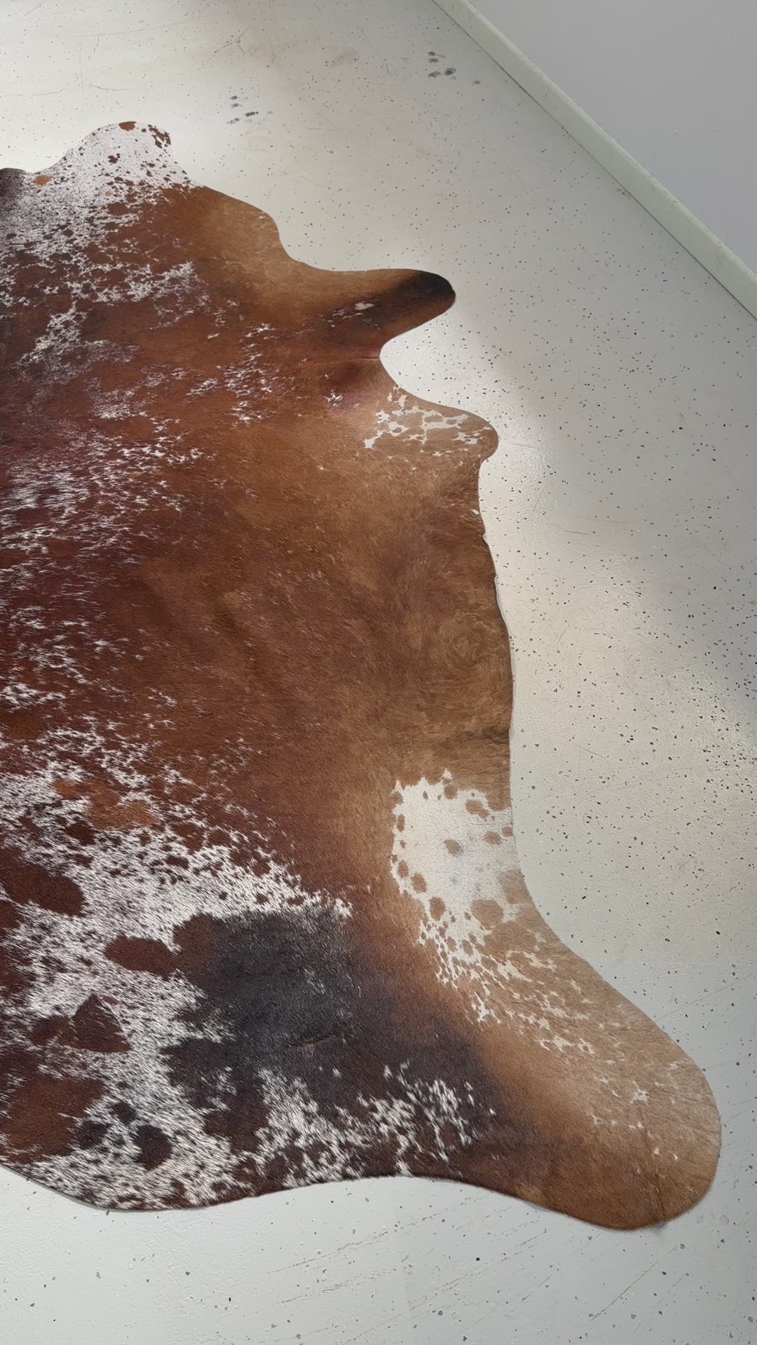 Genuine Cowhide Floor Rug 44