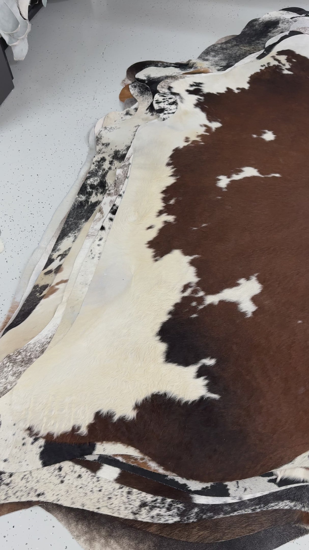 Genuine Cowhide Floor Rug 210