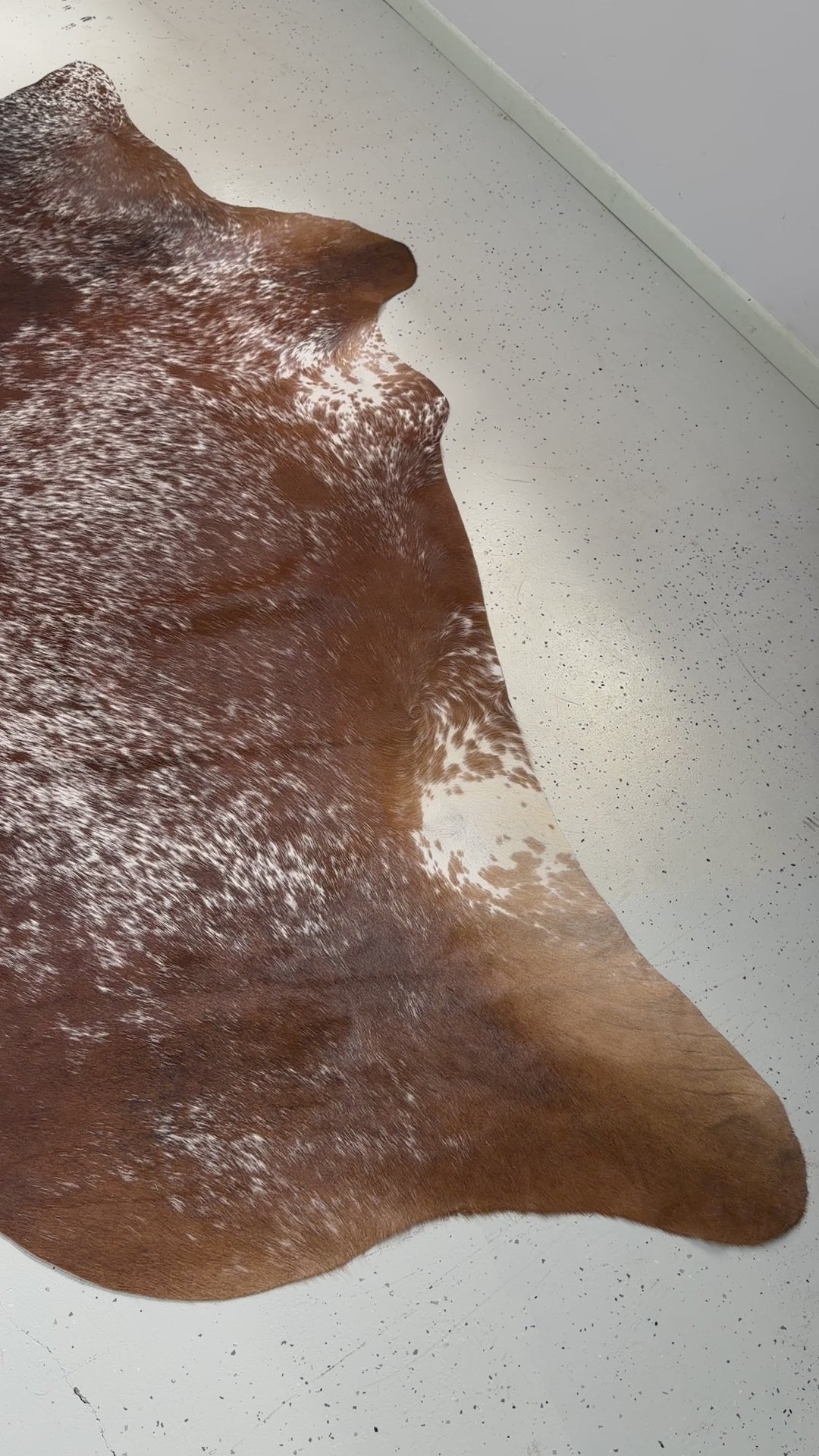 Genuine Cowhide Floor Rug 509