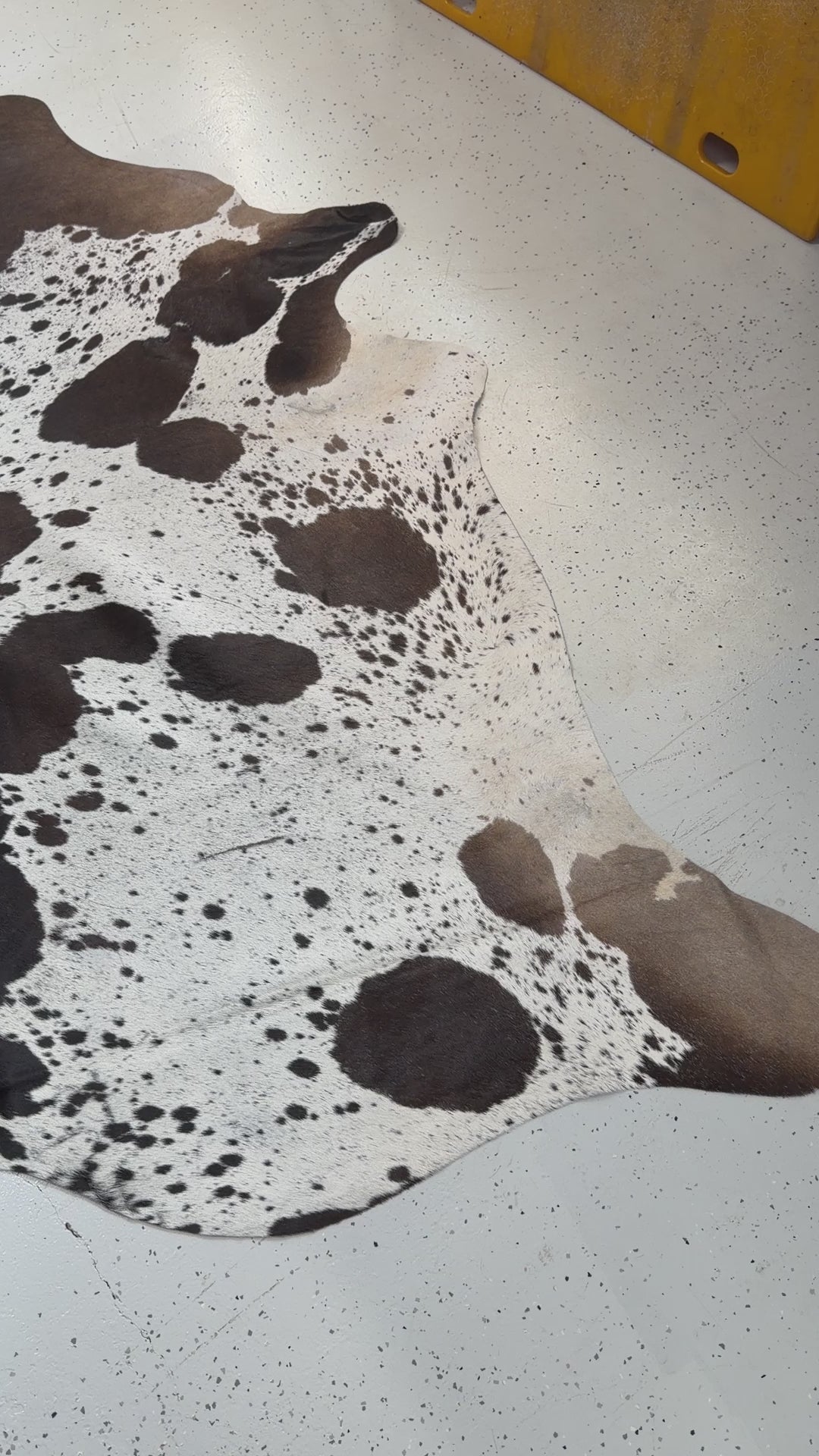 Genuine Cowhide Floor Rug 496