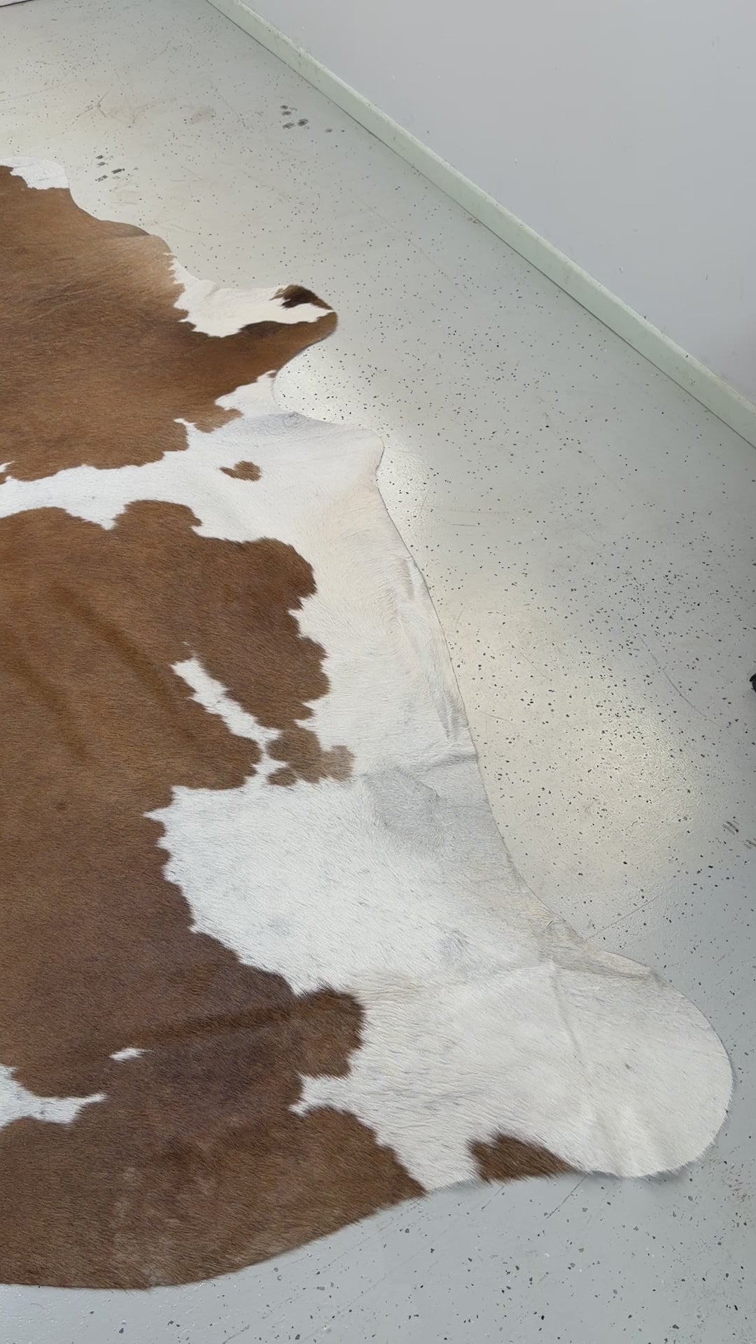 Genuine Cowhide Floor Rug 67