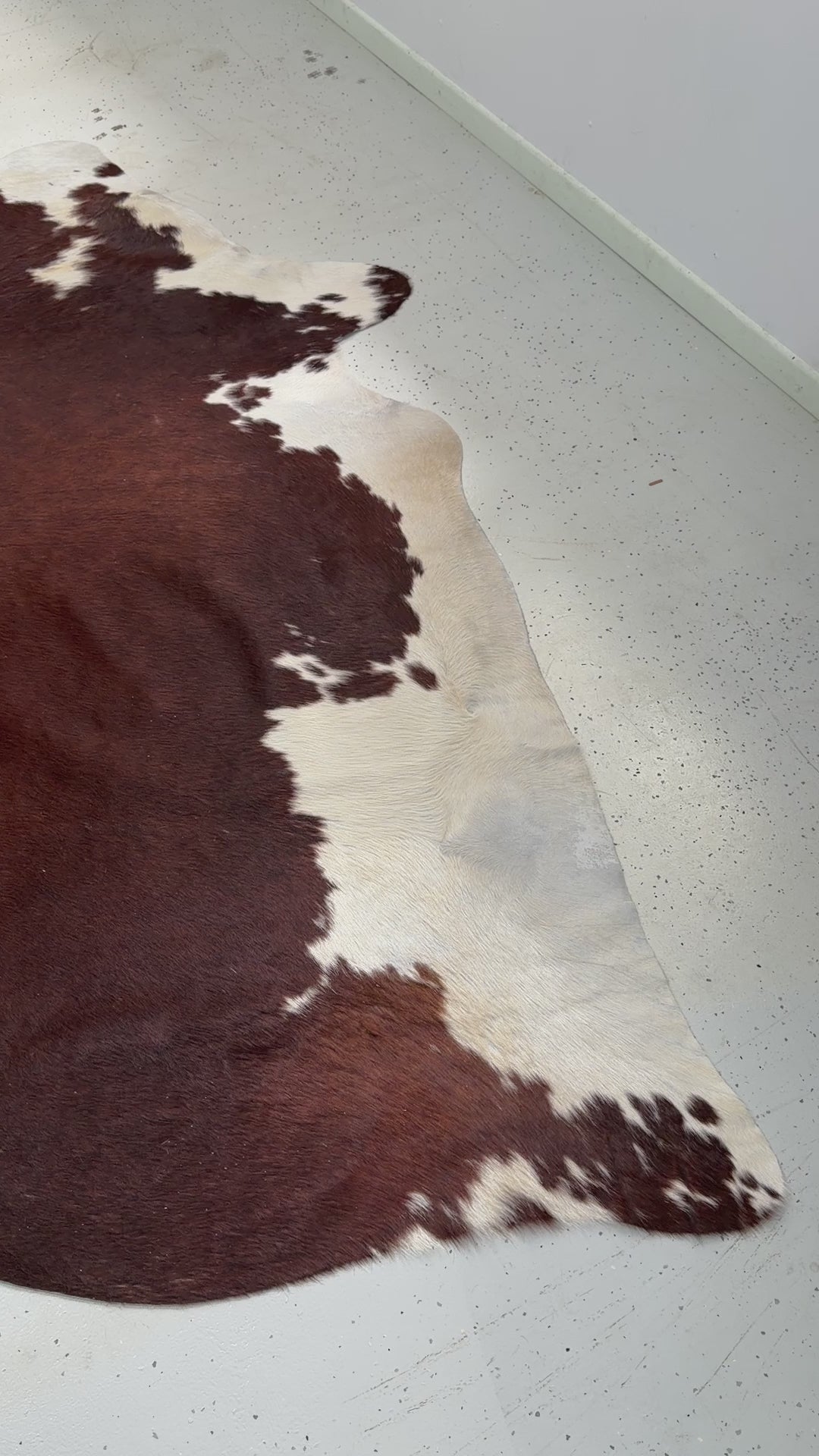Genuine Cowhide Floor Rug 213