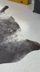 Genuine Cowhide Floor Rug 495-1