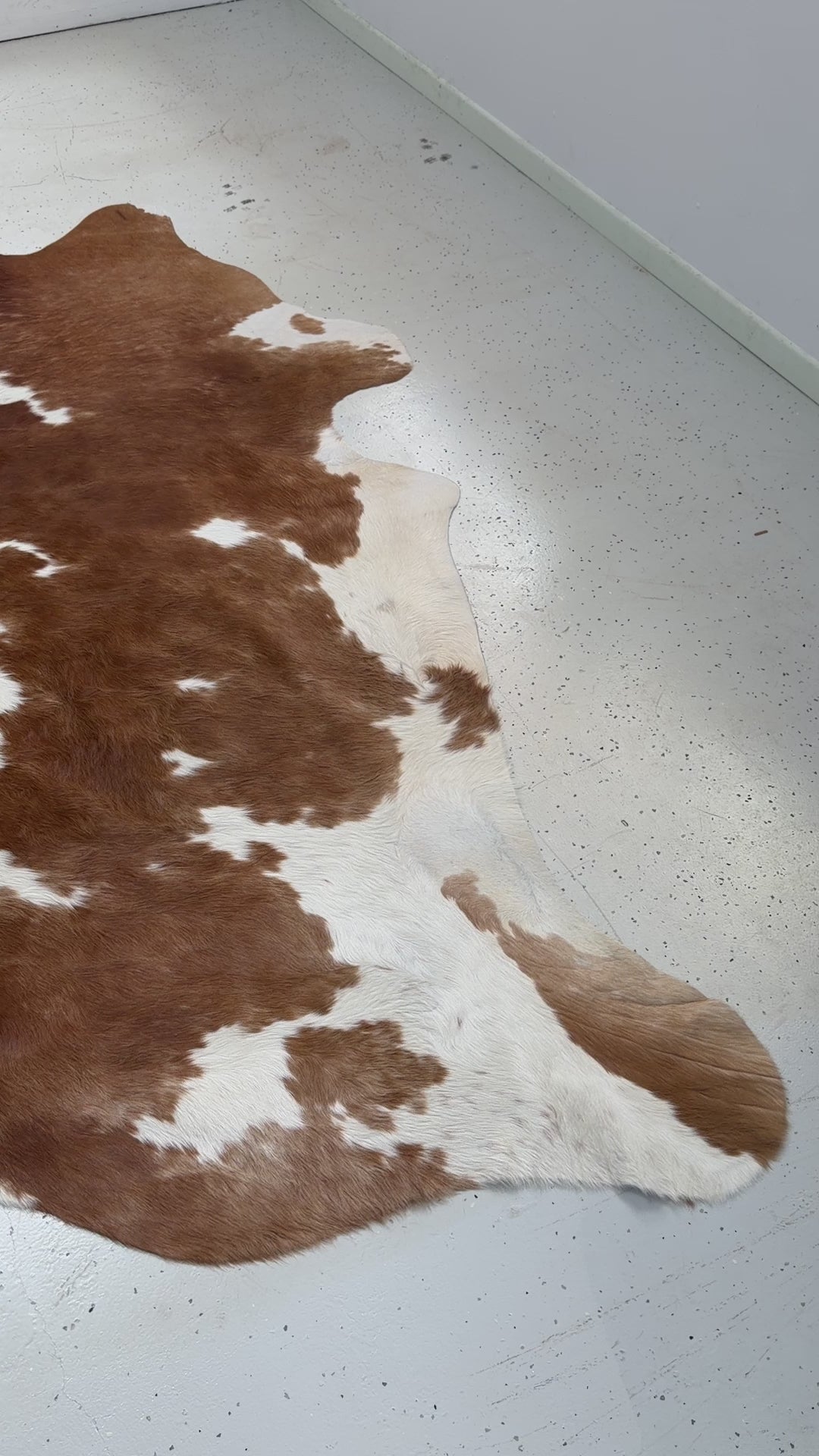 Genuine Cowhide Floor Rug 50