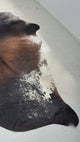 Genuine Cowhide Floor Rug 212