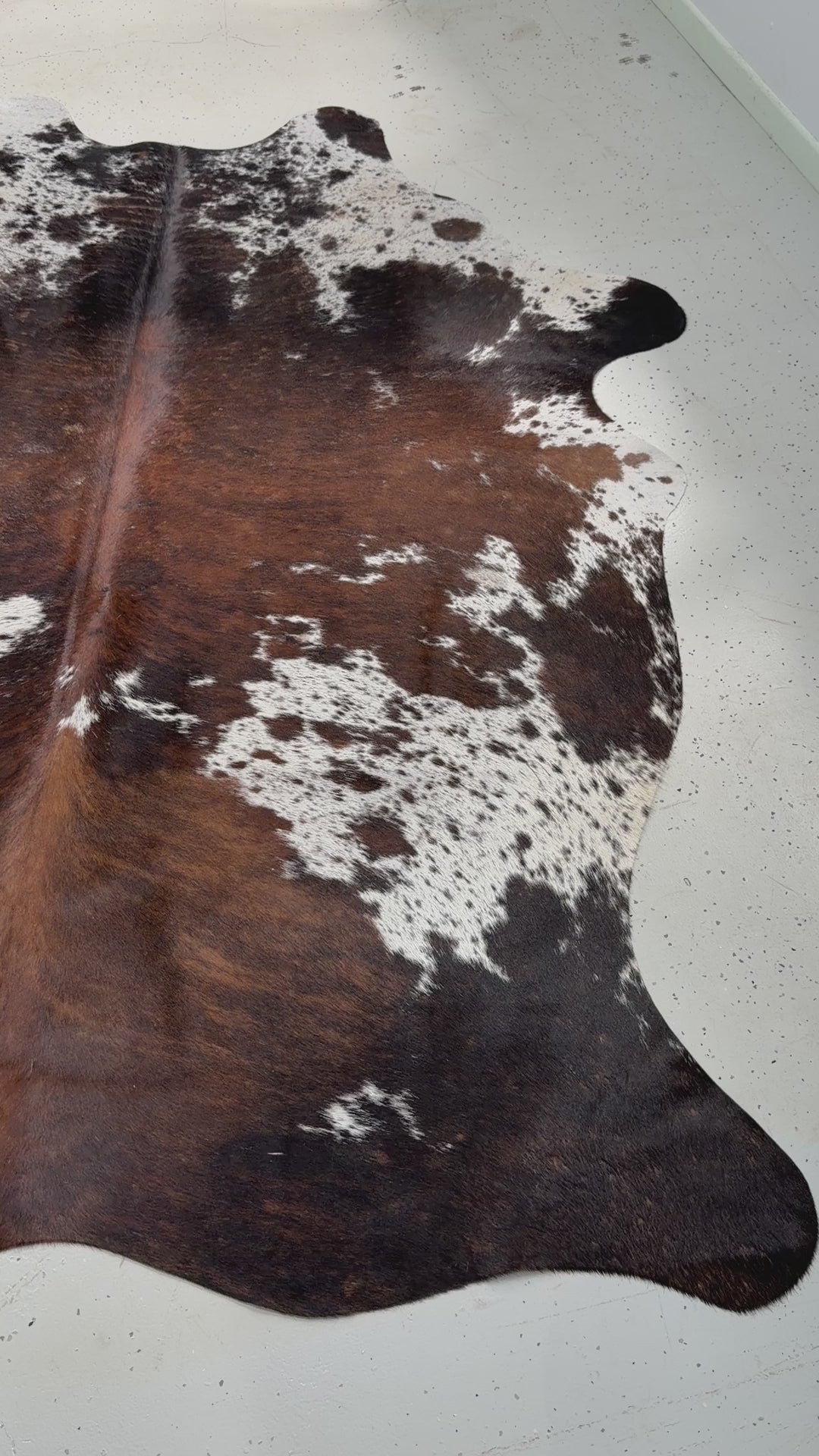 Genuine Cowhide Floor Rug 77