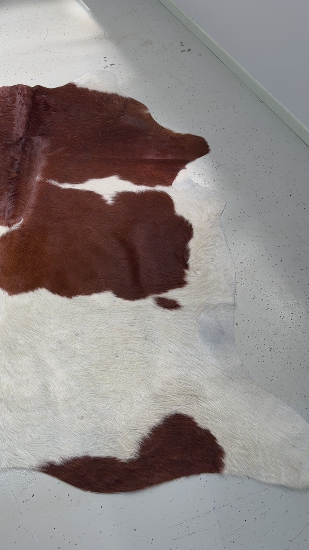 Genuine Cowhide Floor Rug 37