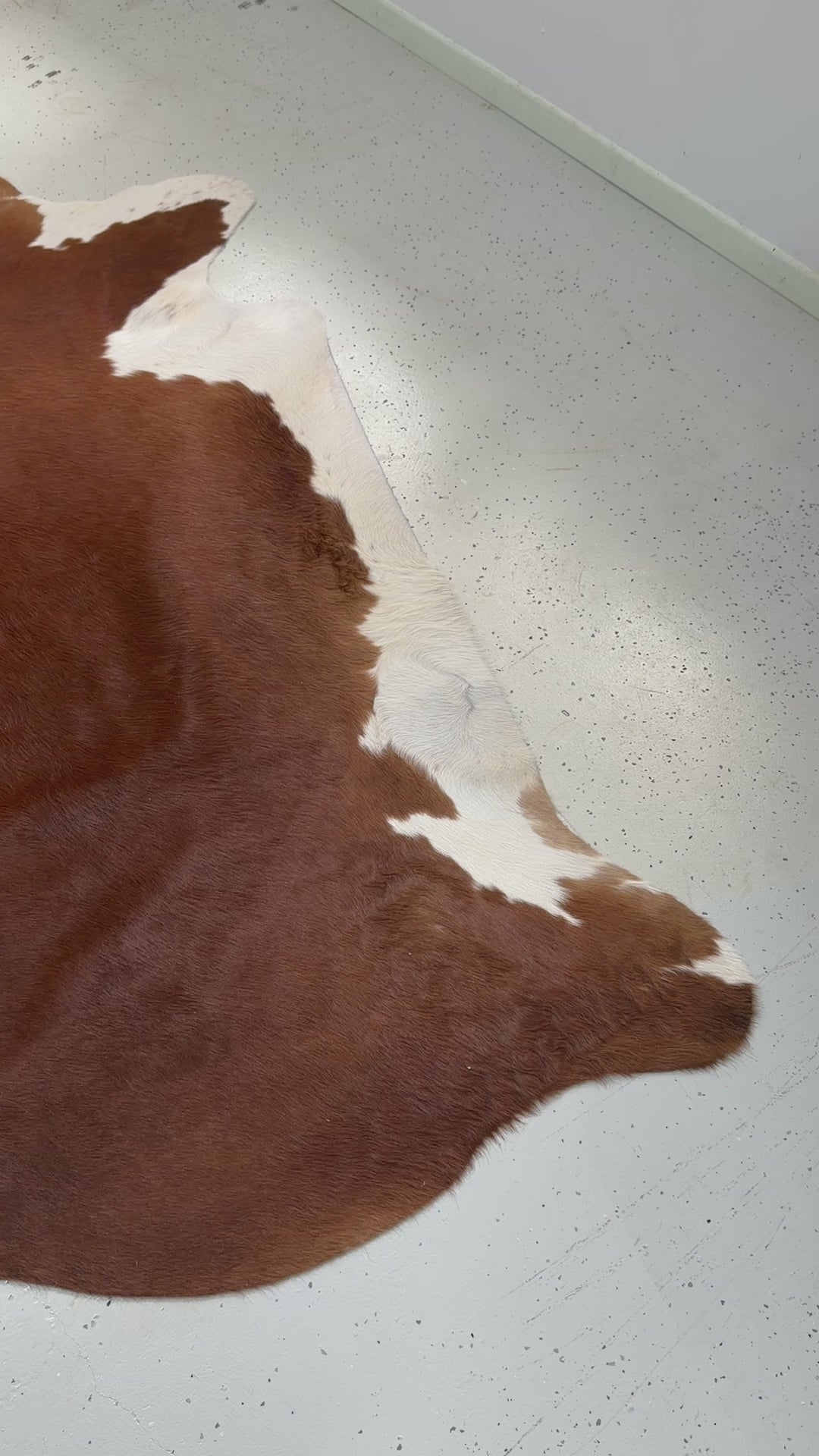 Genuine Cowhide Floor Rug 207
