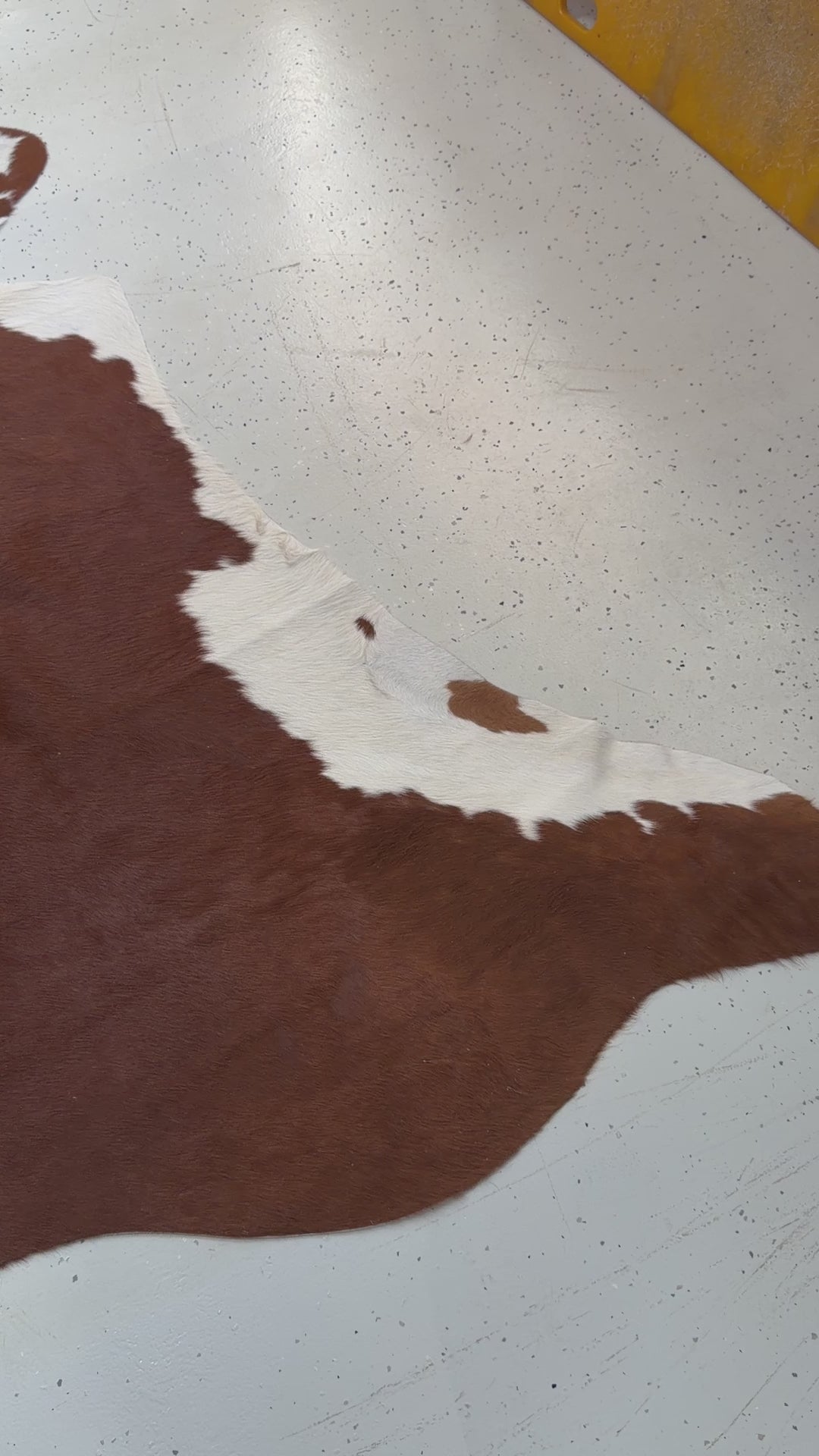 Genuine Cowhide Floor Rug 235-1