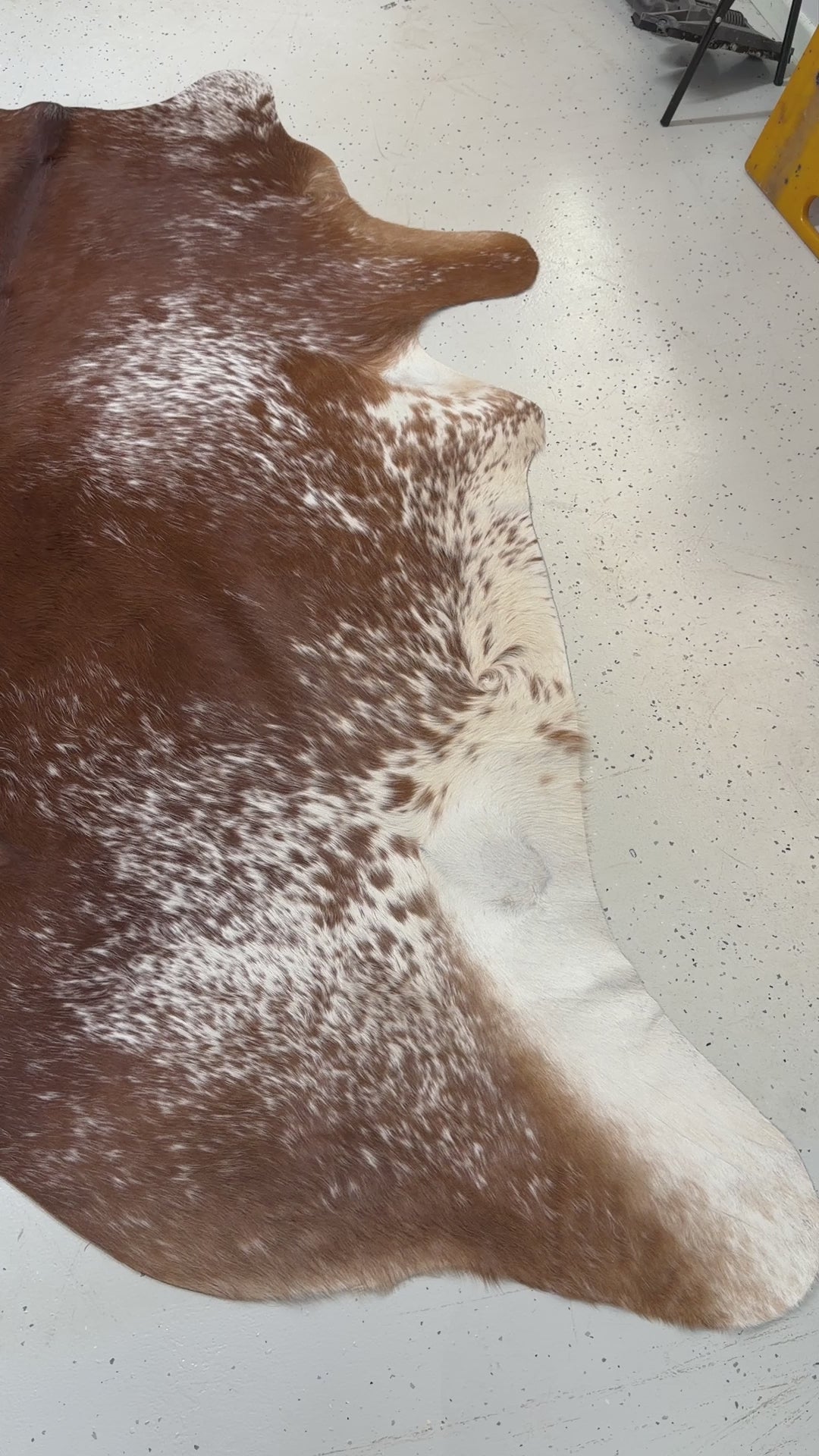 Genuine Cowhide Floor Rug 494