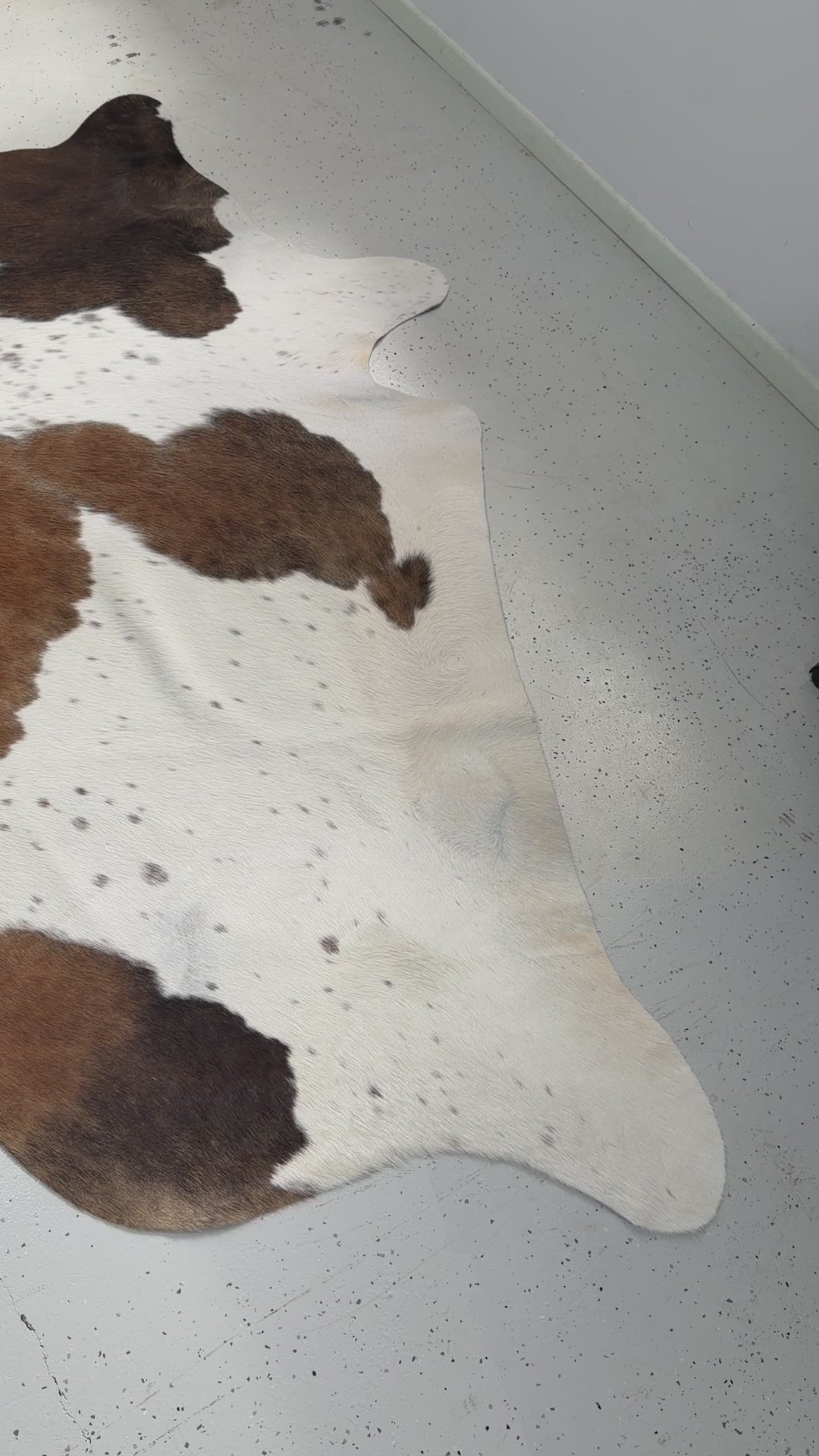 Genuine Cowhide Floor Rug 295