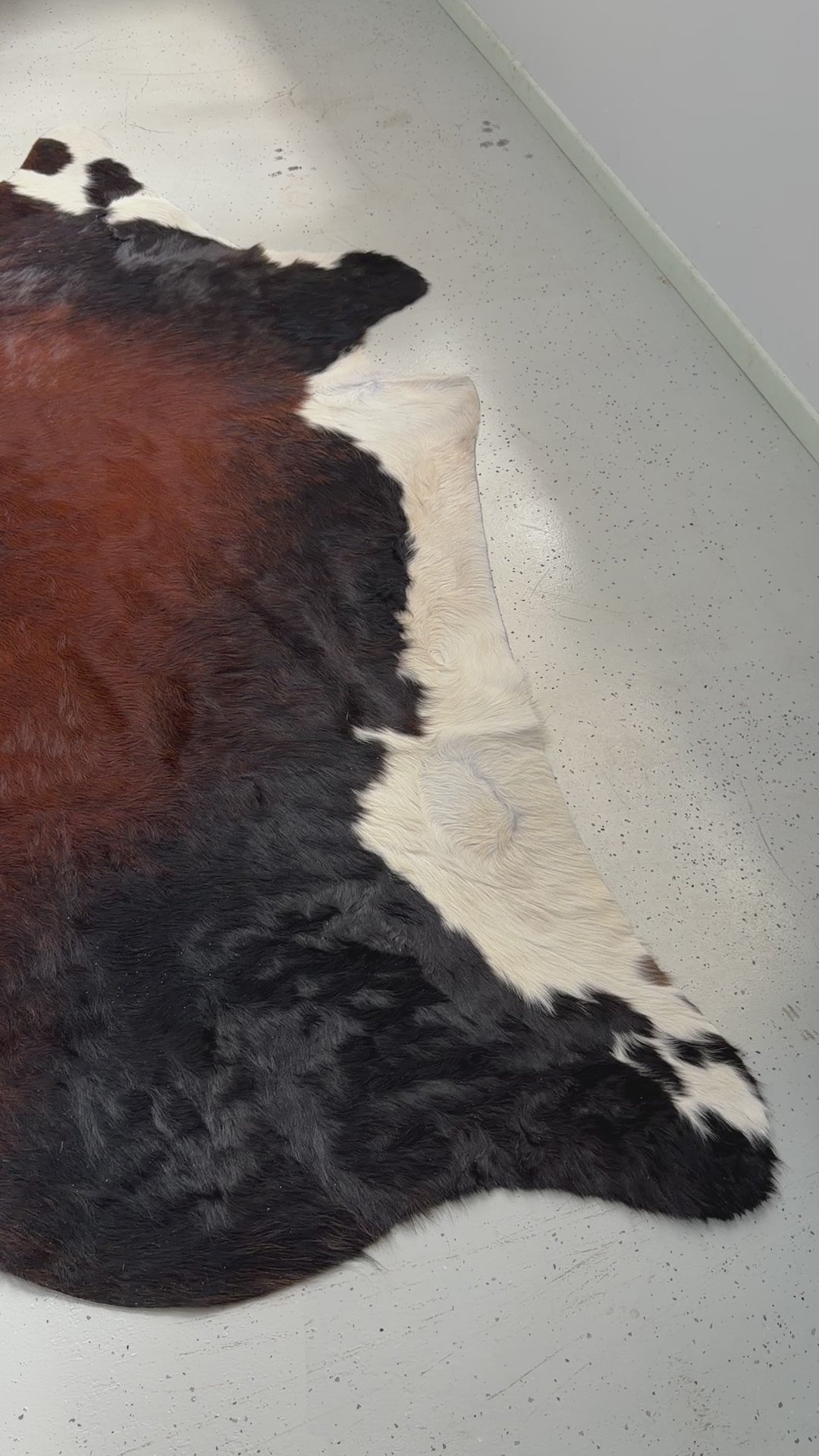 Genuine Cowhide Floor Rug 316-1