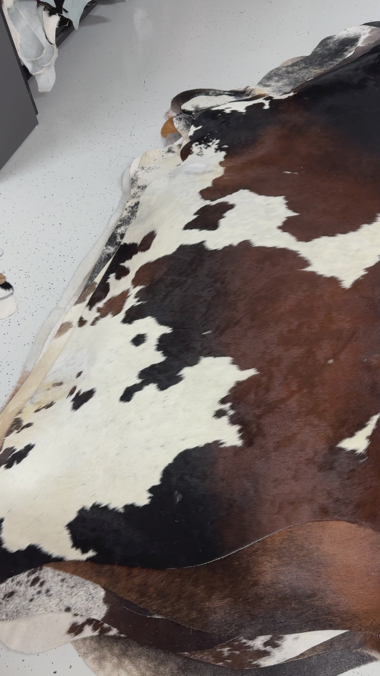 Genuine Cowhide Floor Rug 470