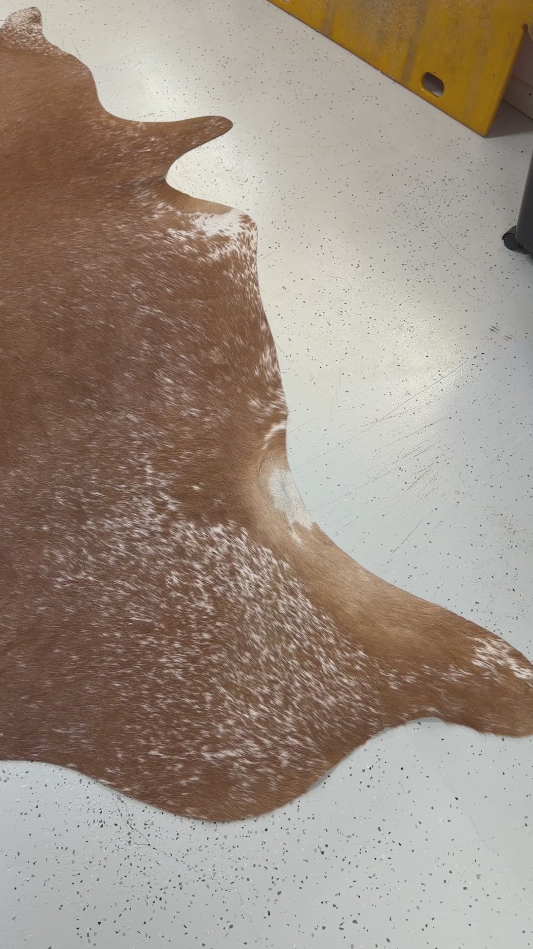 Genuine Cowhide Floor Rug 905