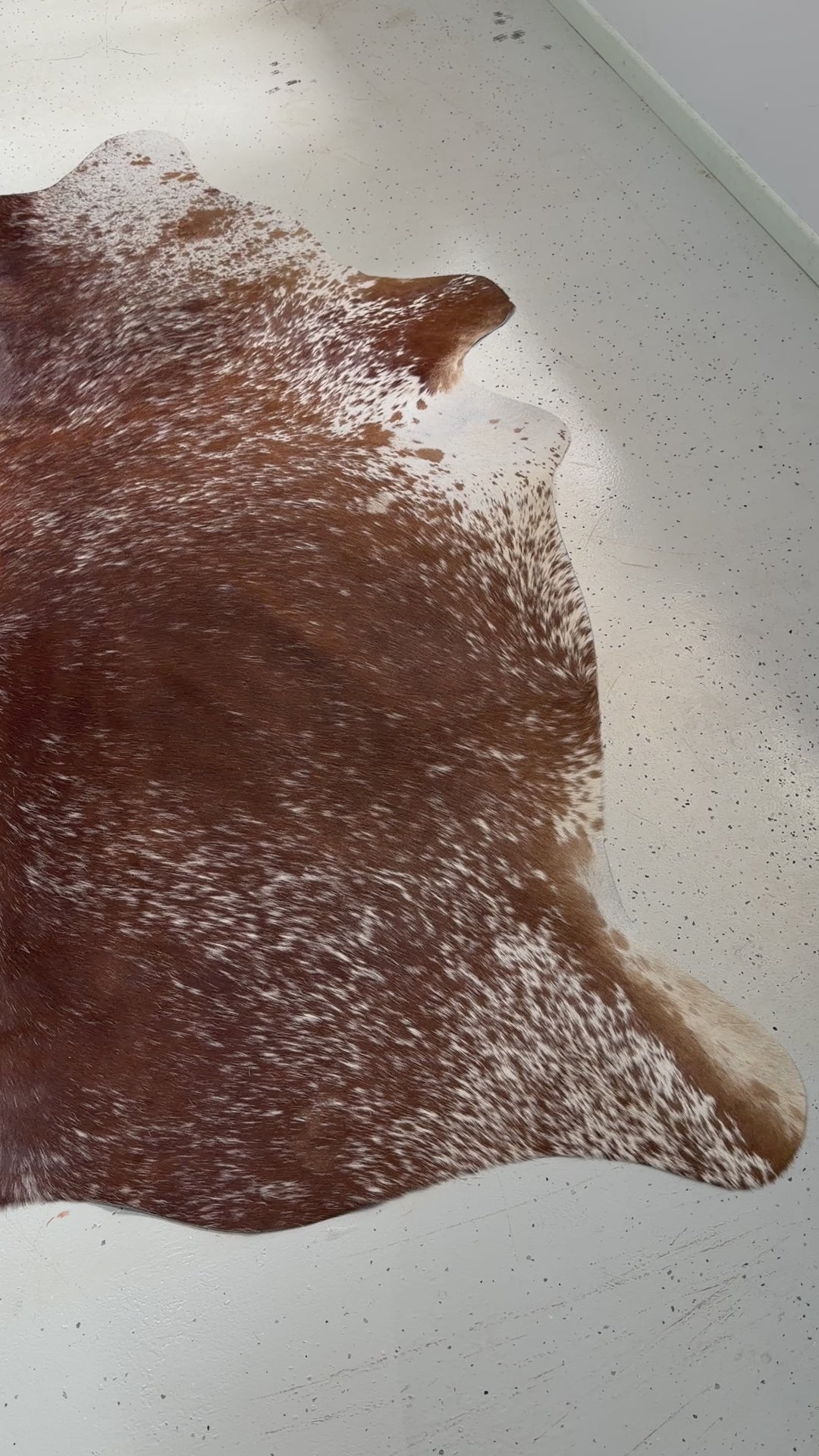 Genuine Cowhide Floor Rug 48