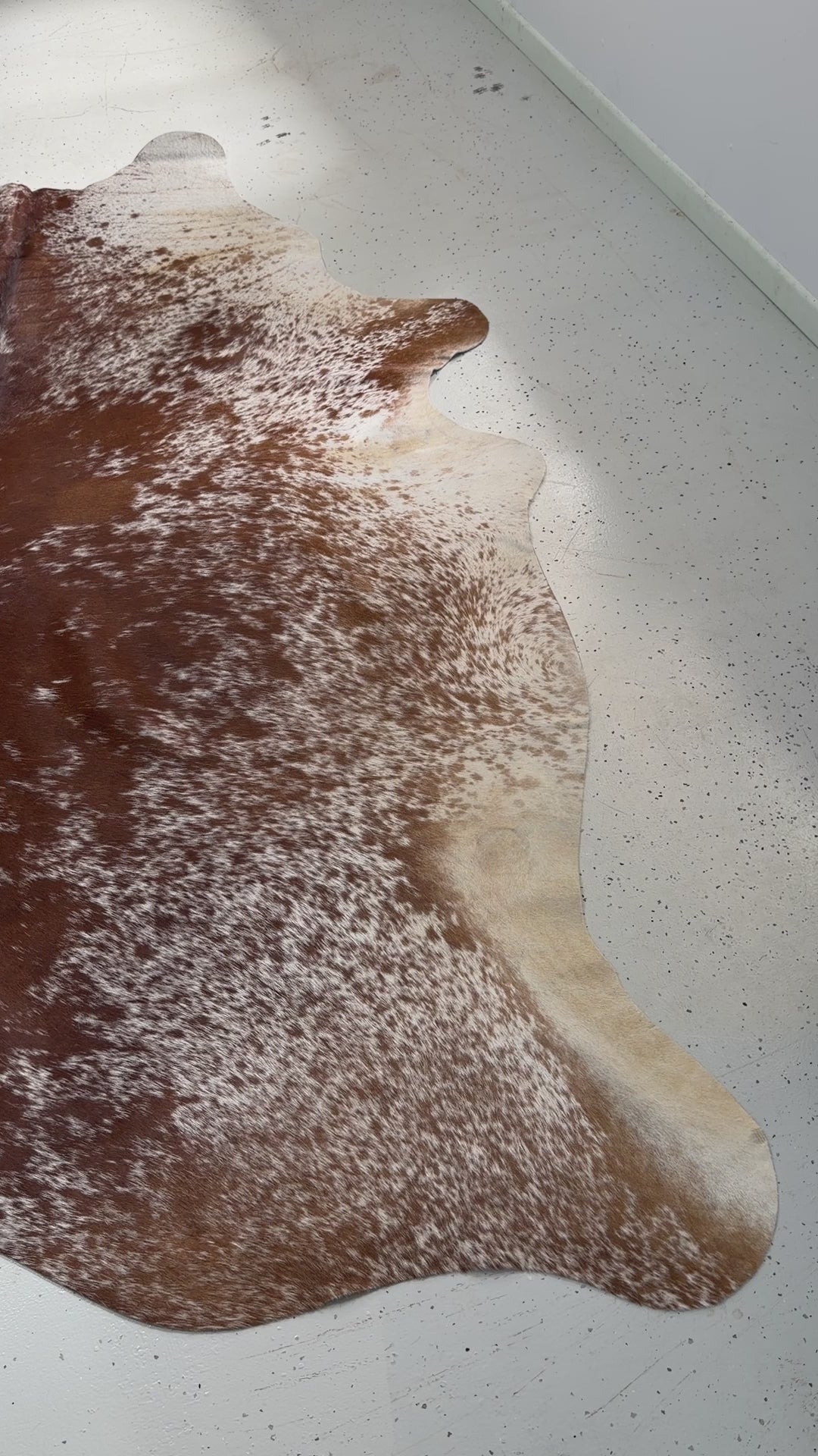 Genuine Cowhide Floor Rug 527