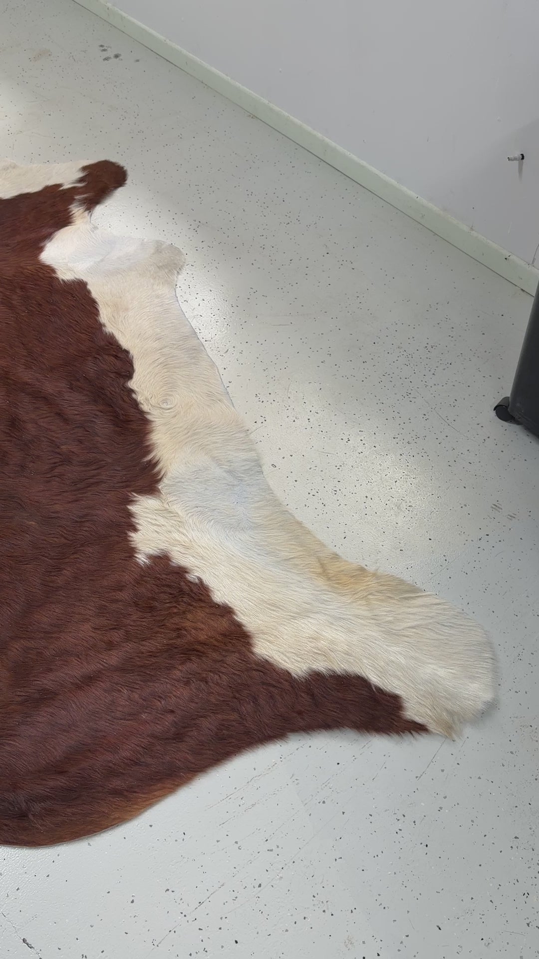 Genuine Cowhide Floor Rug 212-1