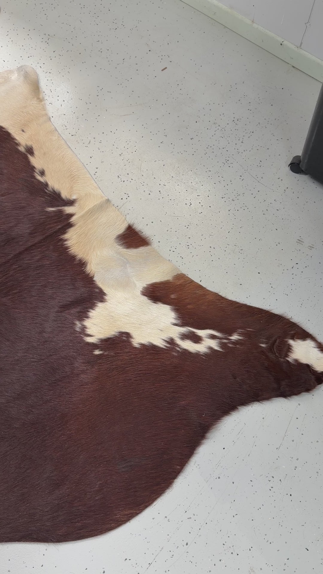 Genuine Cowhide Floor Rug 23