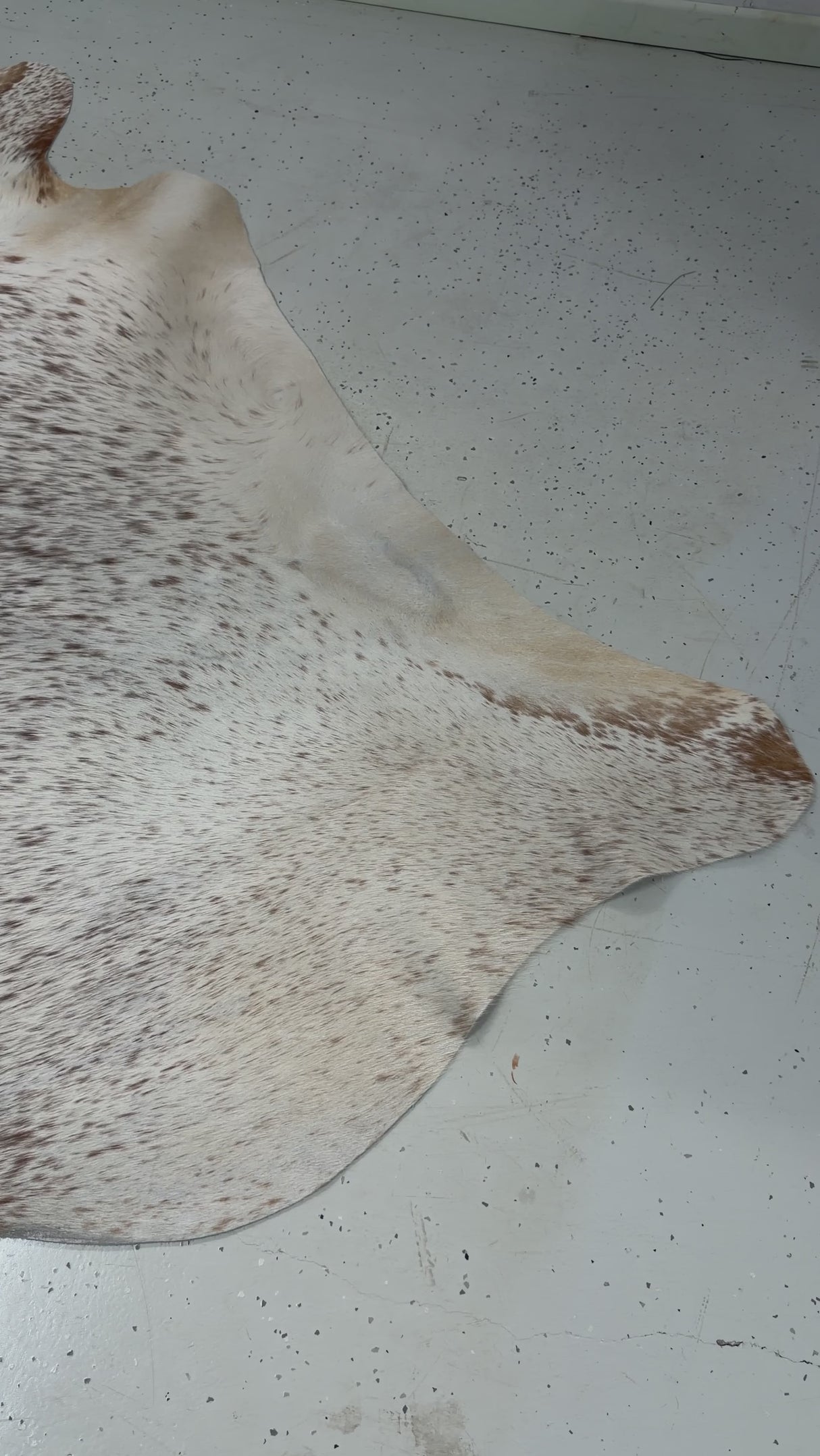 Genuine Cowhide Floor Rug 017