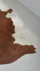 Genuine Cowhide Floor Rug 193