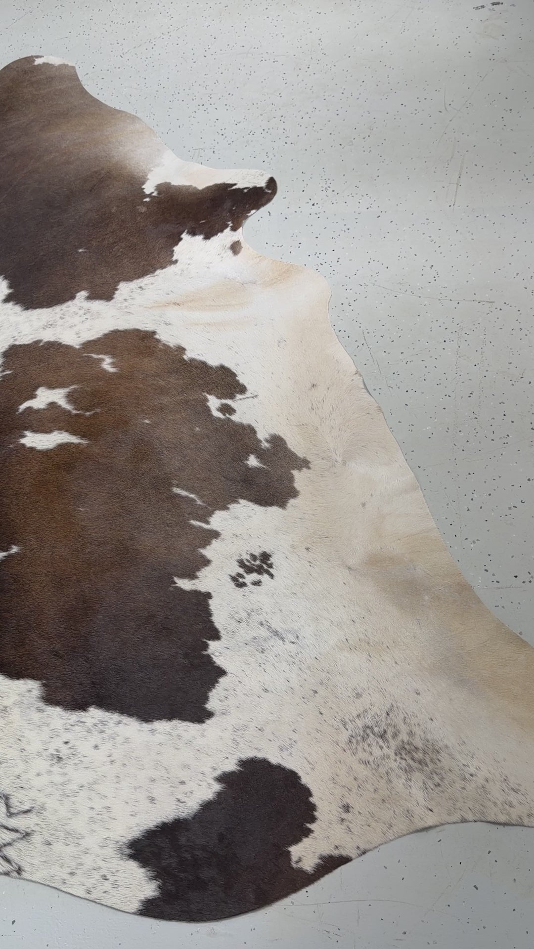 Genuine Cowhide Floor Rug 978