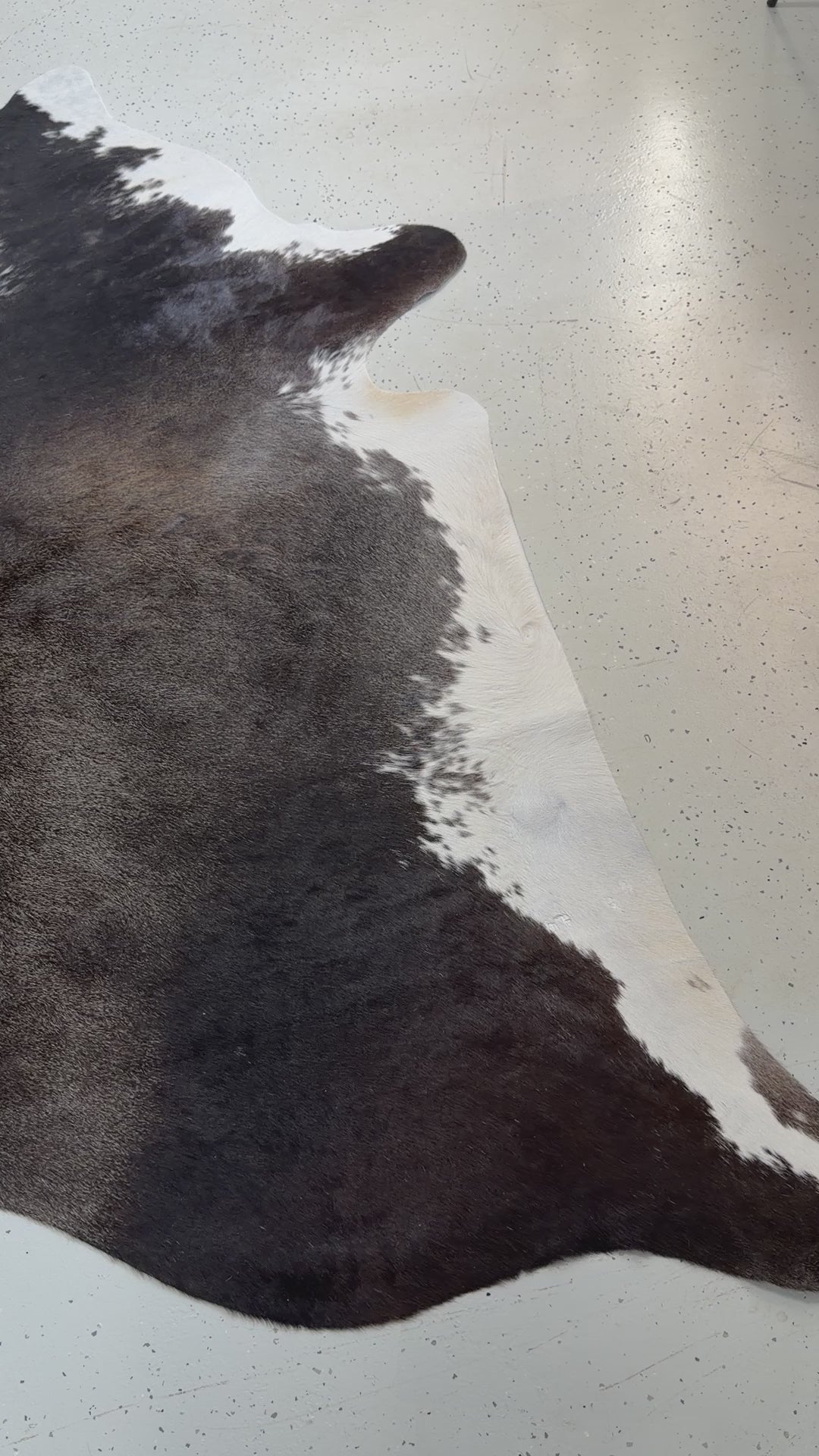 Genuine Cowhide Floor Rug 499