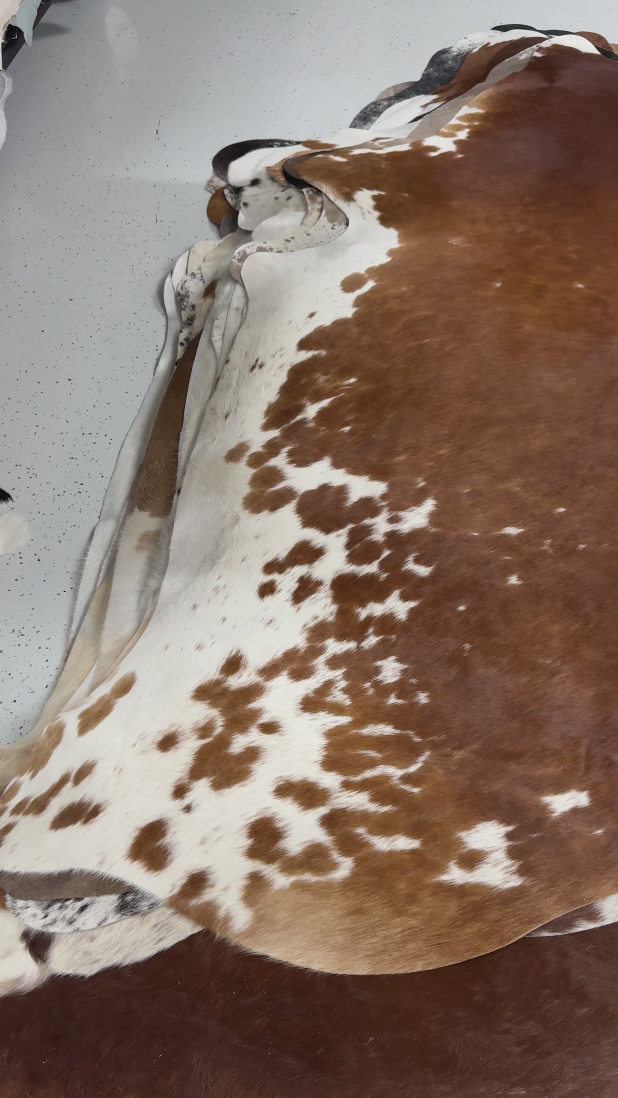 Genuine Cowhide Floor Rug 50