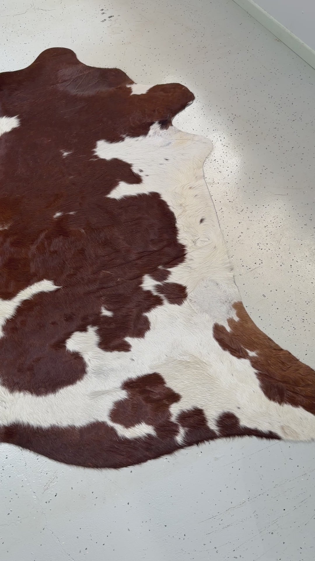 Genuine Cowhide Floor Rug 51