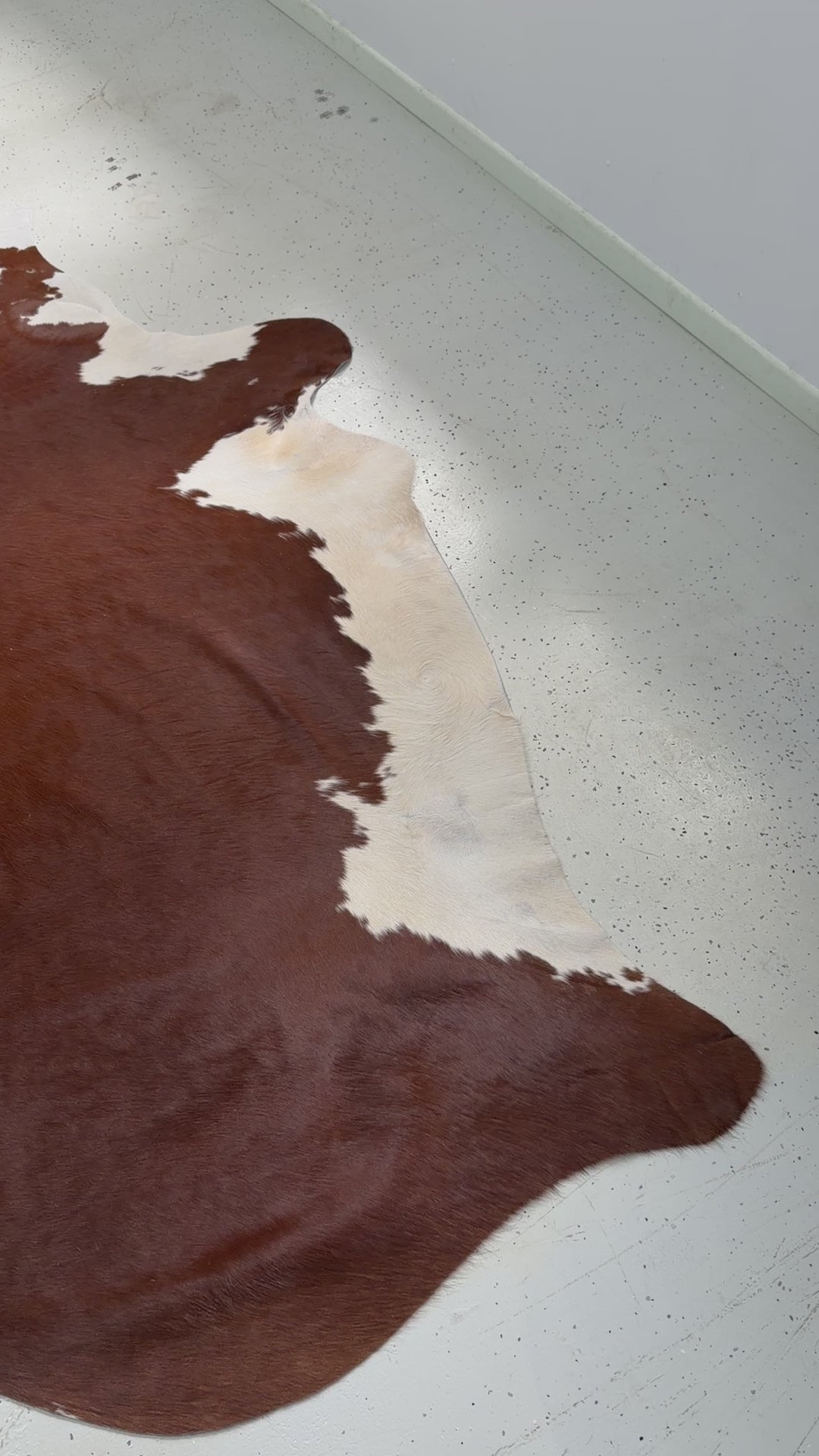 Genuine Cowhide Floor Rug 233