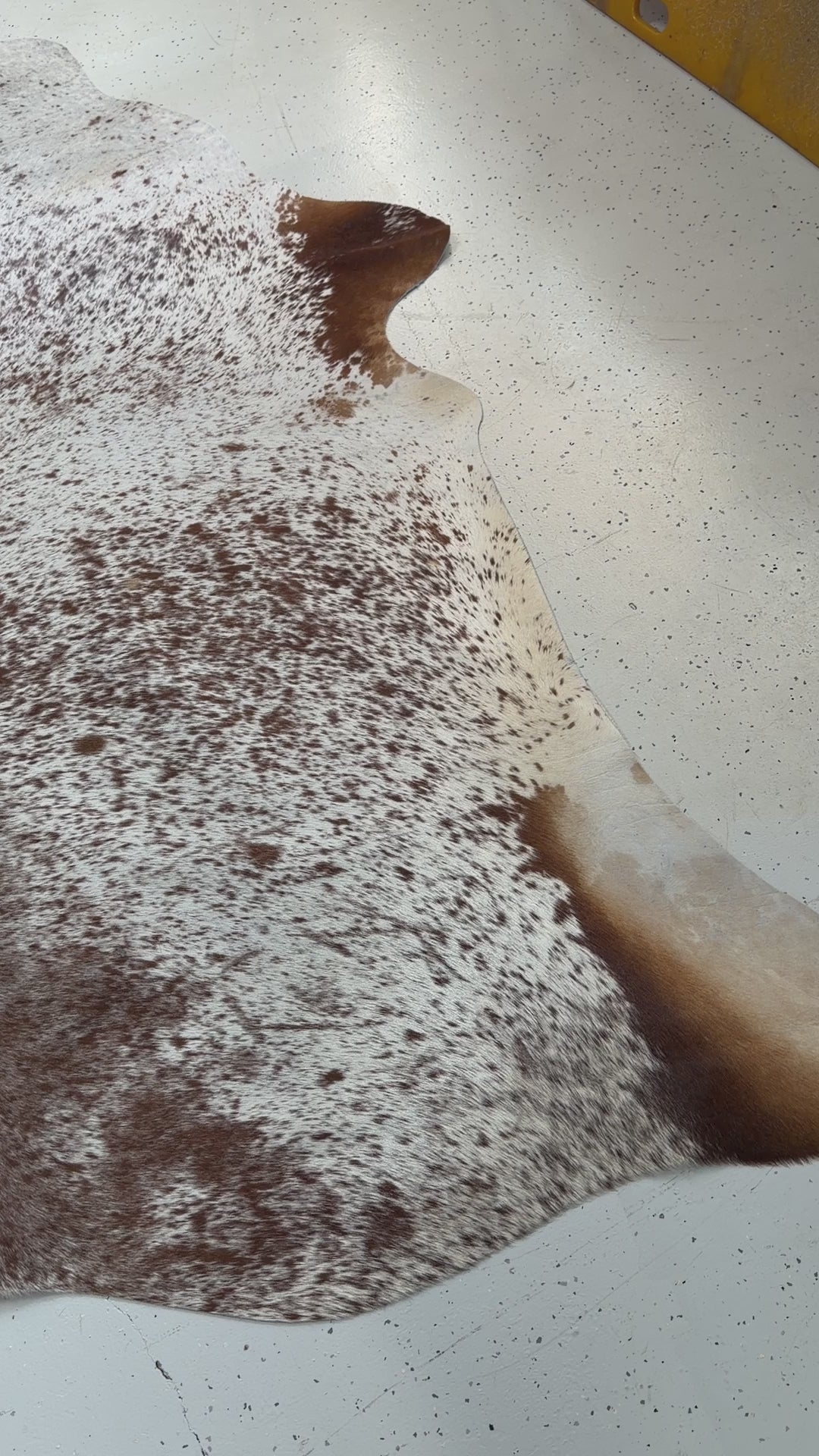 Genuine Cowhide Floor Rug 1001
