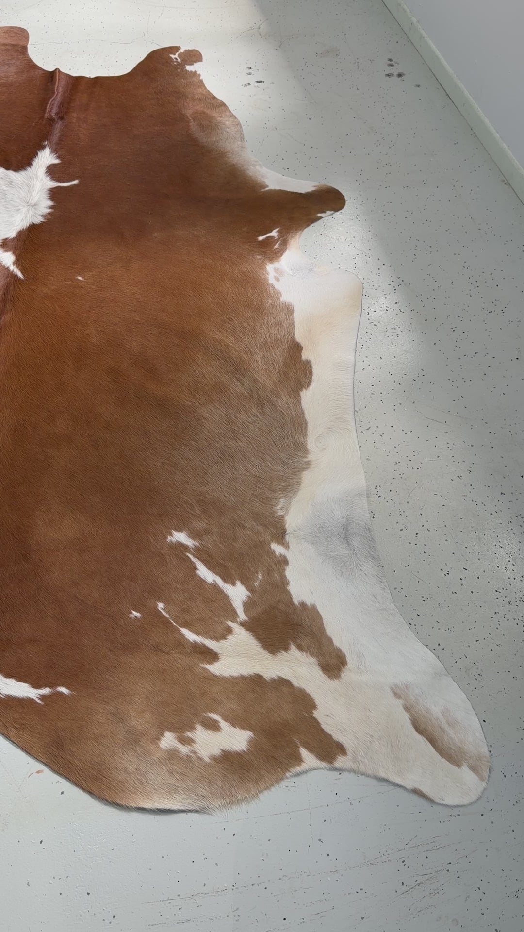 Genuine Cowhide Floor Rug 10