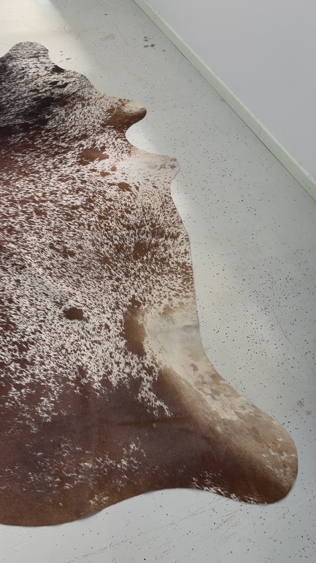 Genuine Cowhide Floor Rug 534