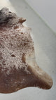 Genuine Cowhide Floor Rug 534