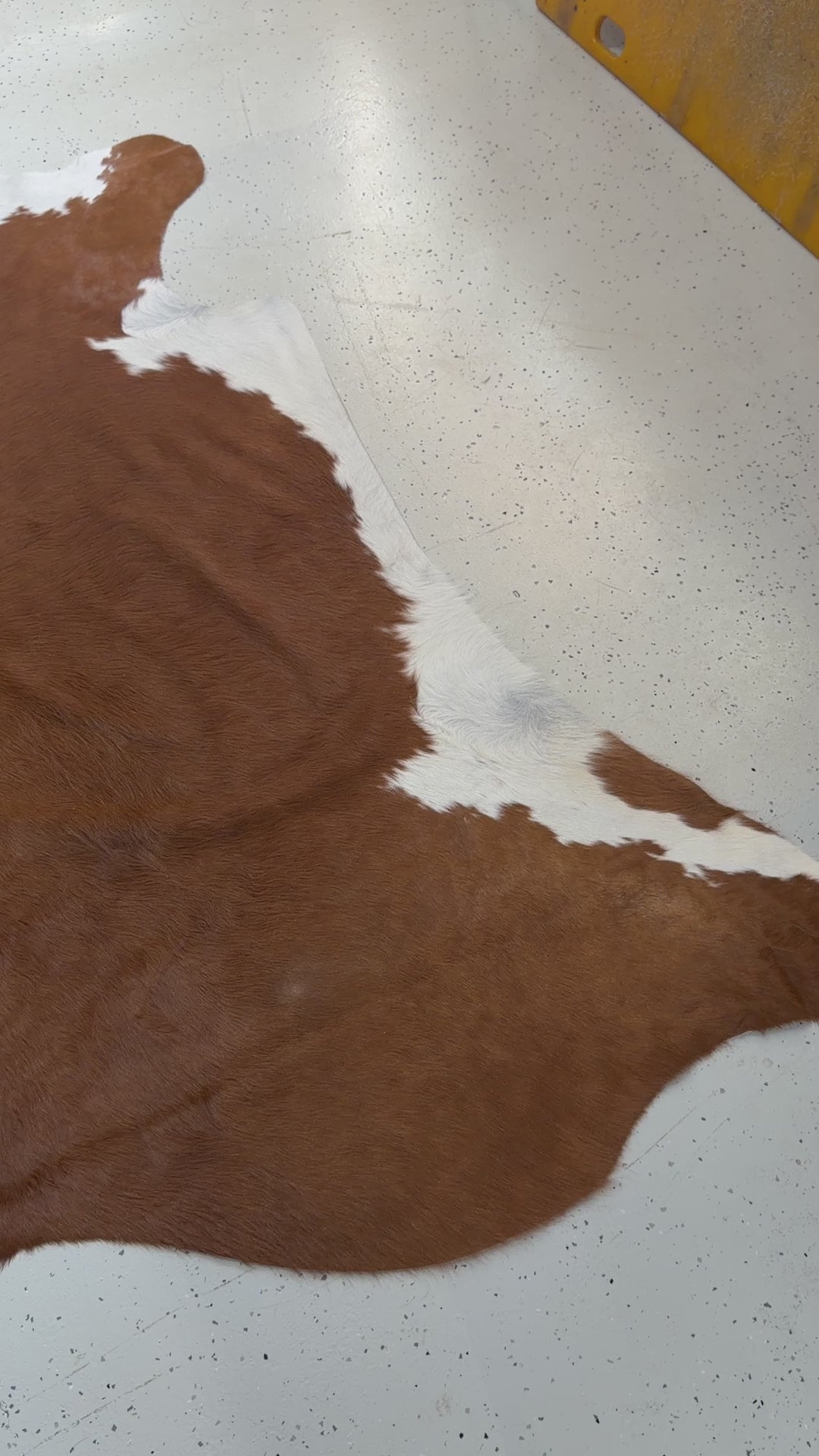 Genuine Cowhide Floor Rug 182