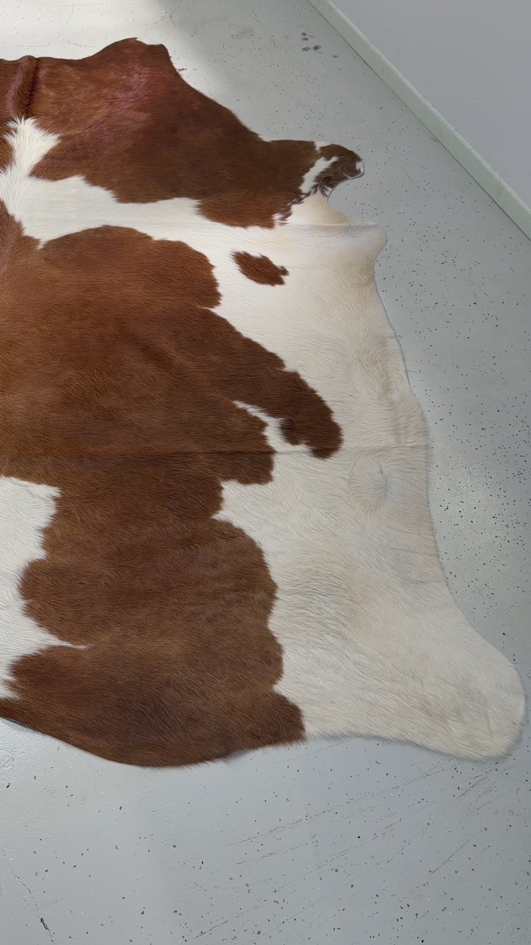 Genuine Cowhide Floor Rug 40-1