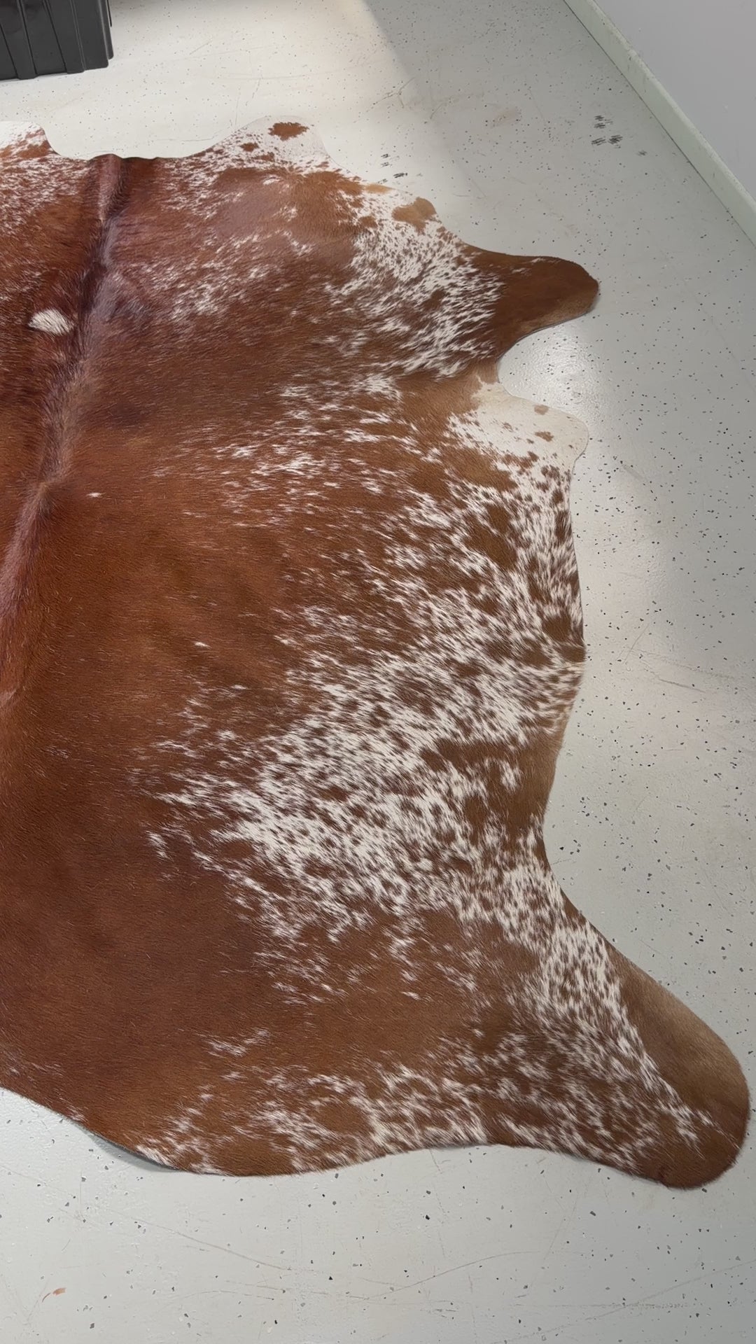 Genuine Cowhide Floor Rug 51-1
