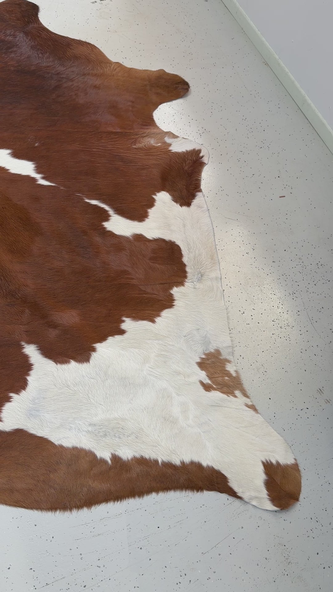 Genuine Cowhide Floor Rug 58-1